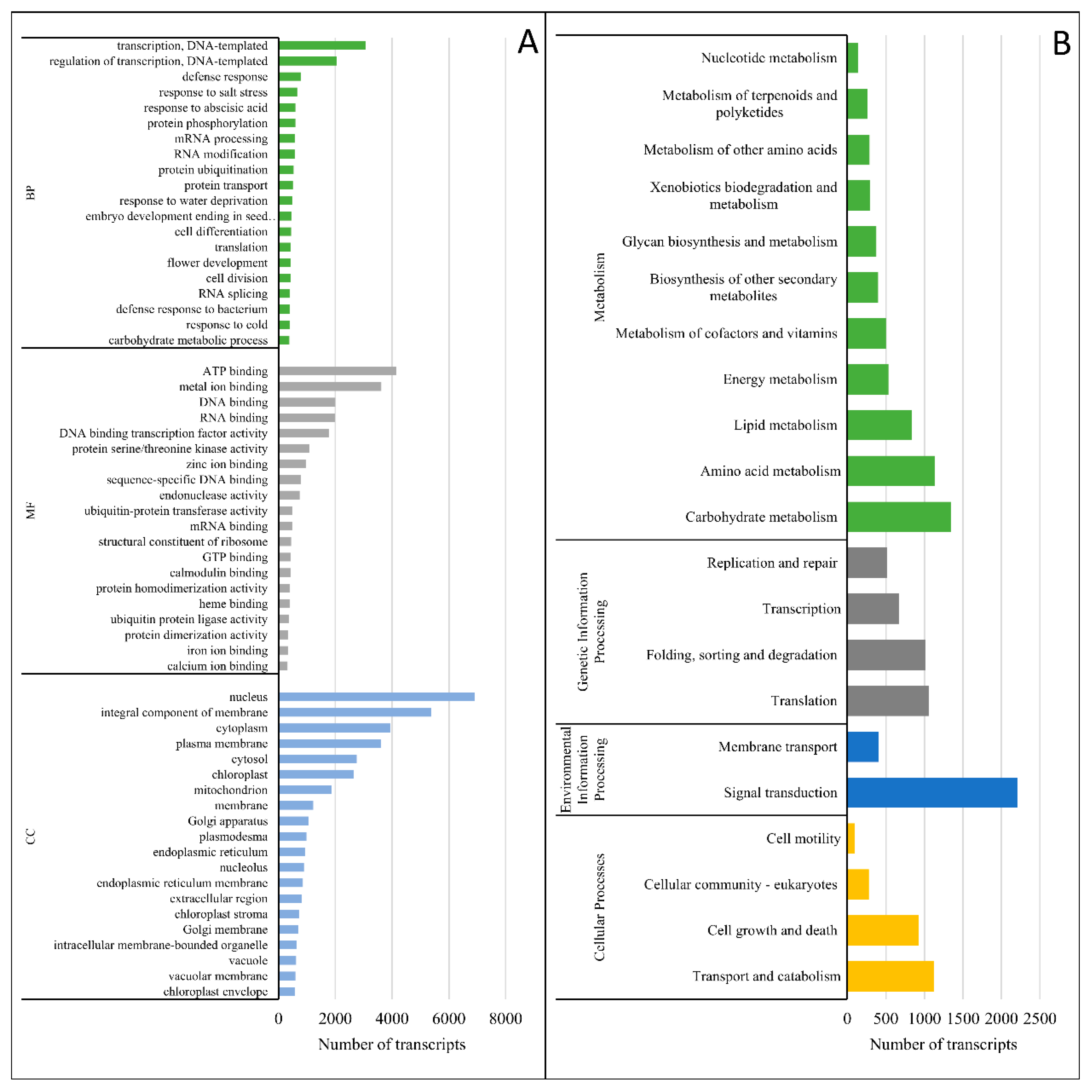 Genes 12 00189 g006