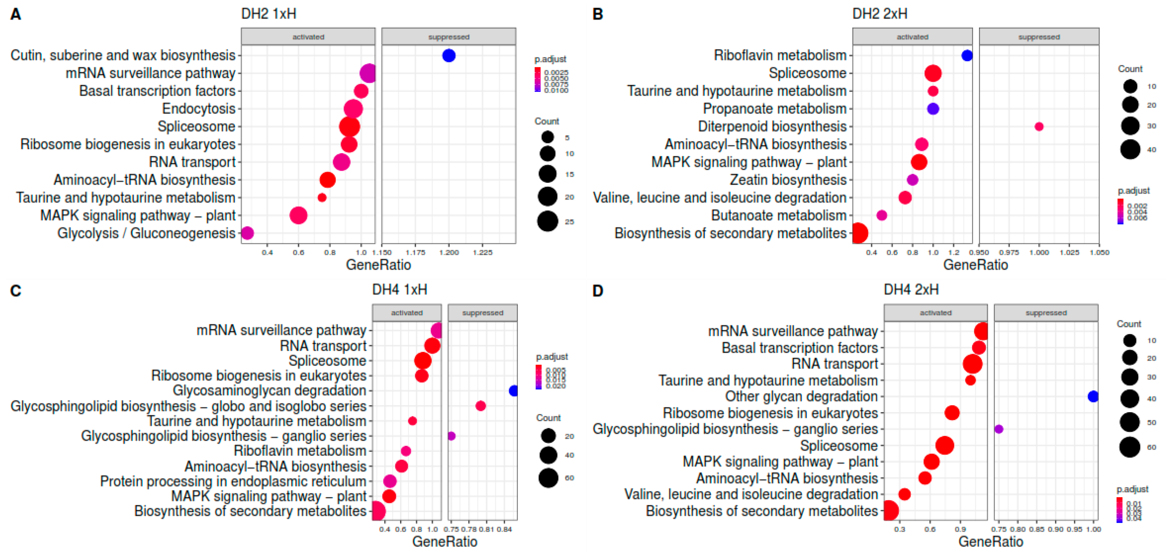 Genes 12 00189 g007