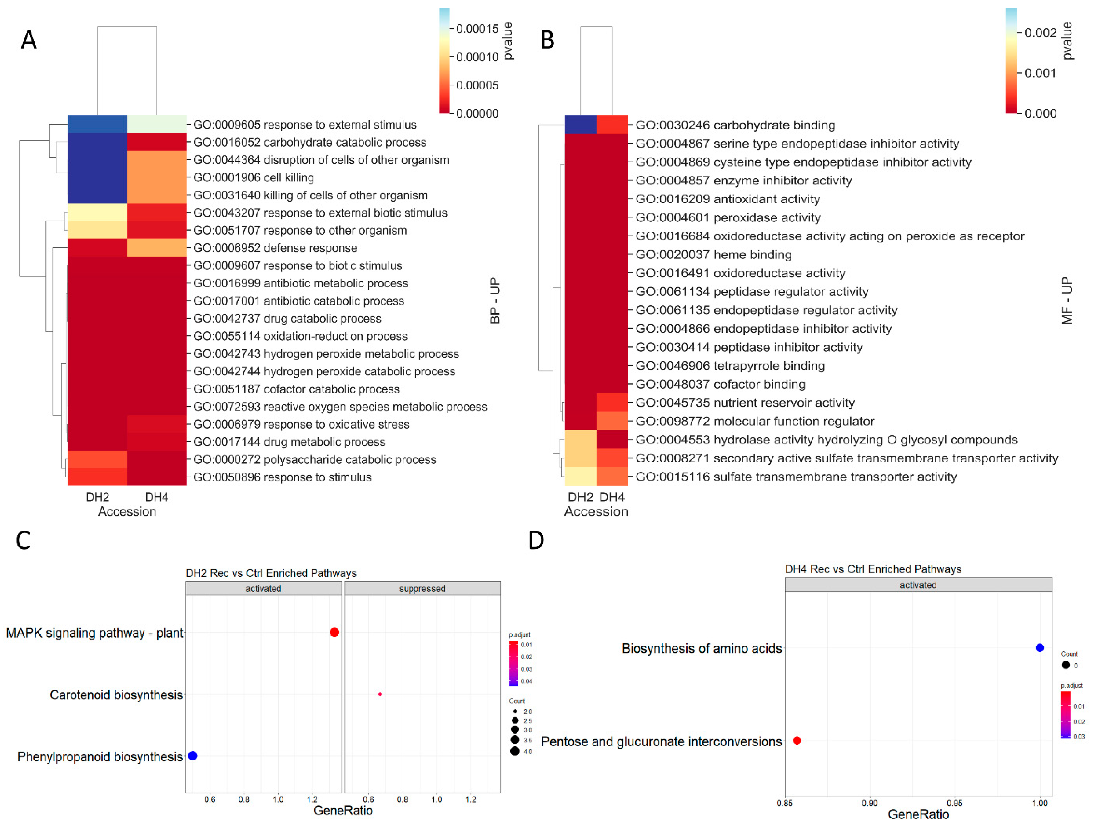 Genes 12 00189 g010