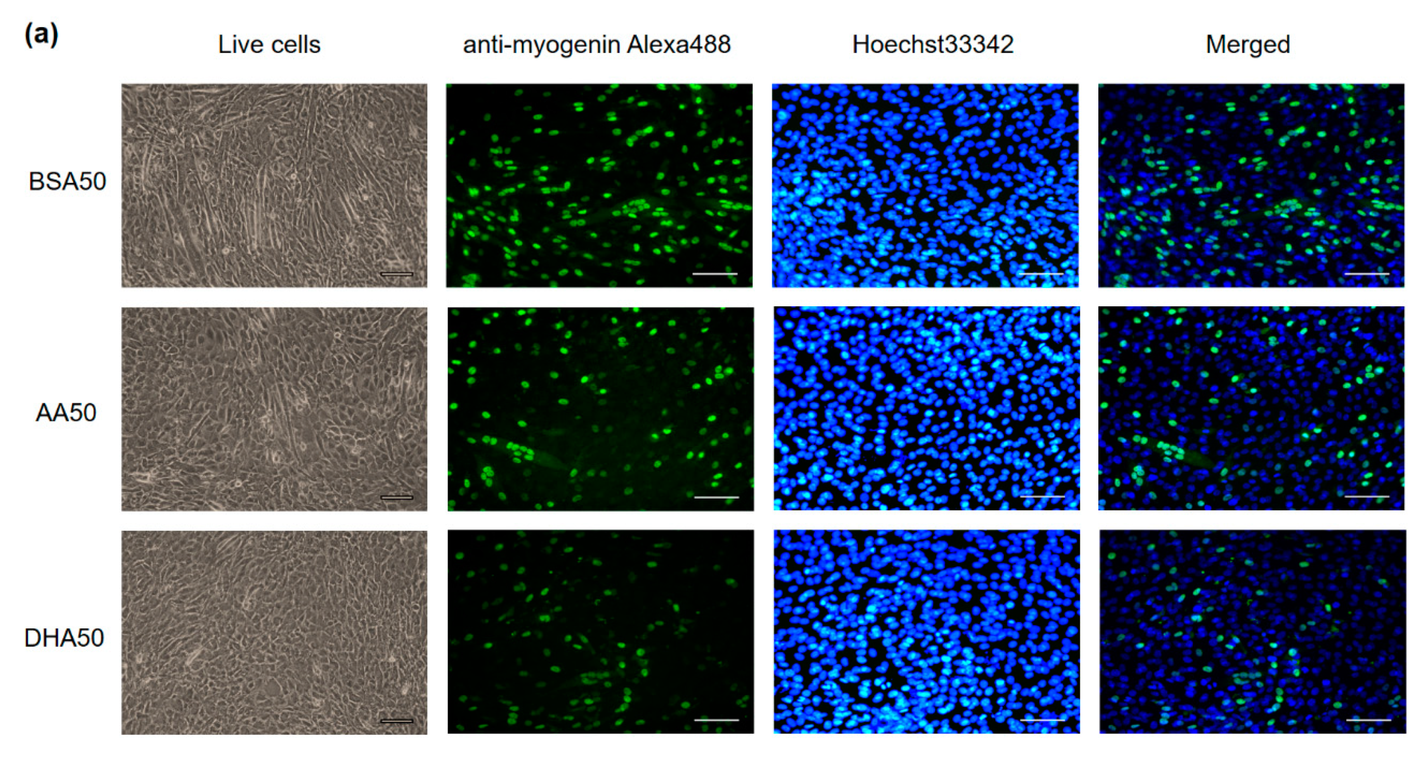 Genes 12 00192 g004a