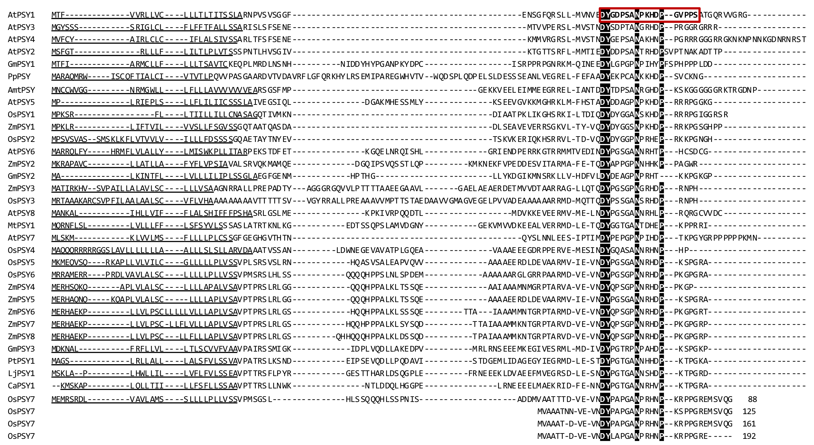 Genes 12 00218 g003 Genes 12 00218 g003