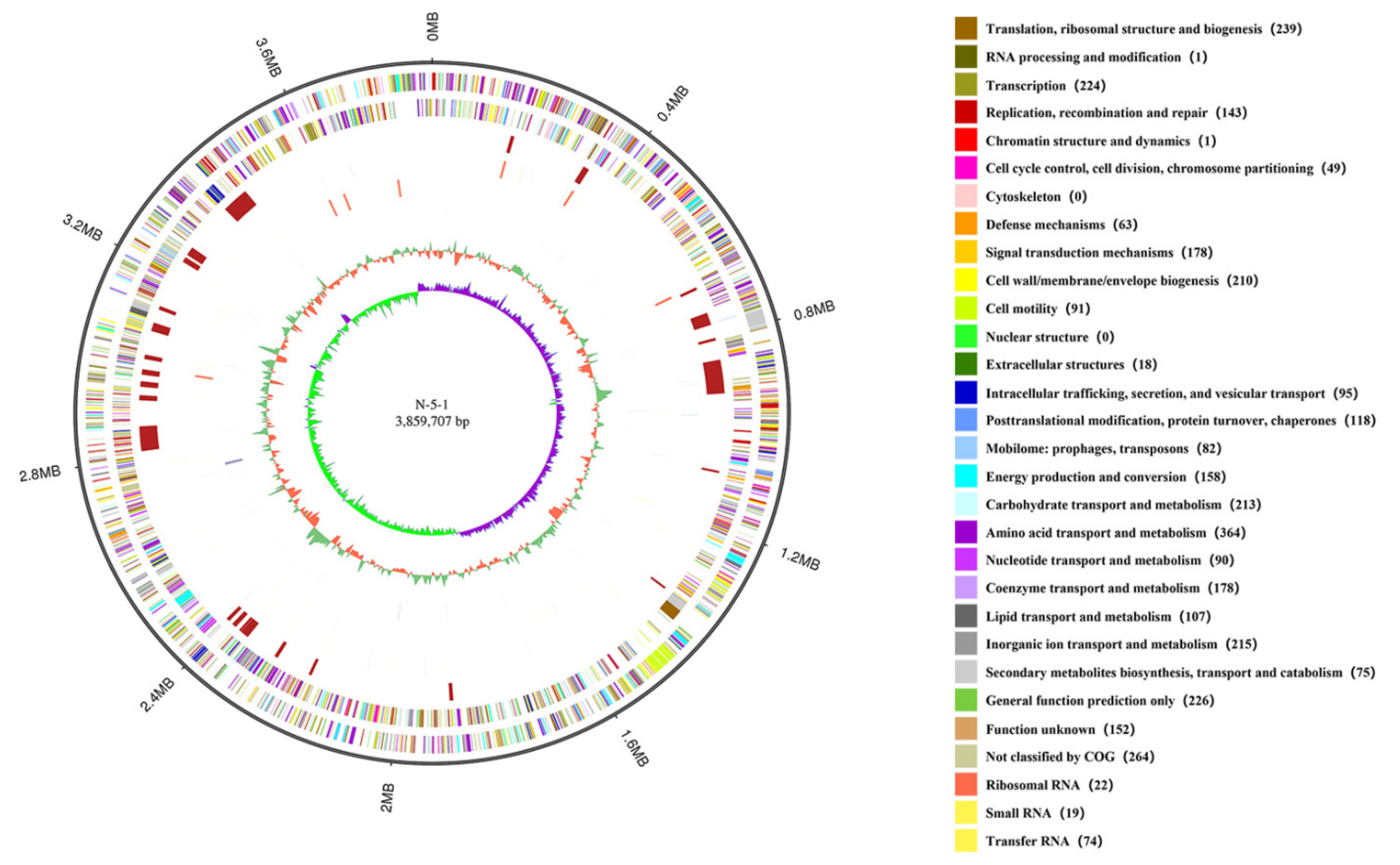 The defense island repertoire of the Escherichia coli pan-genome