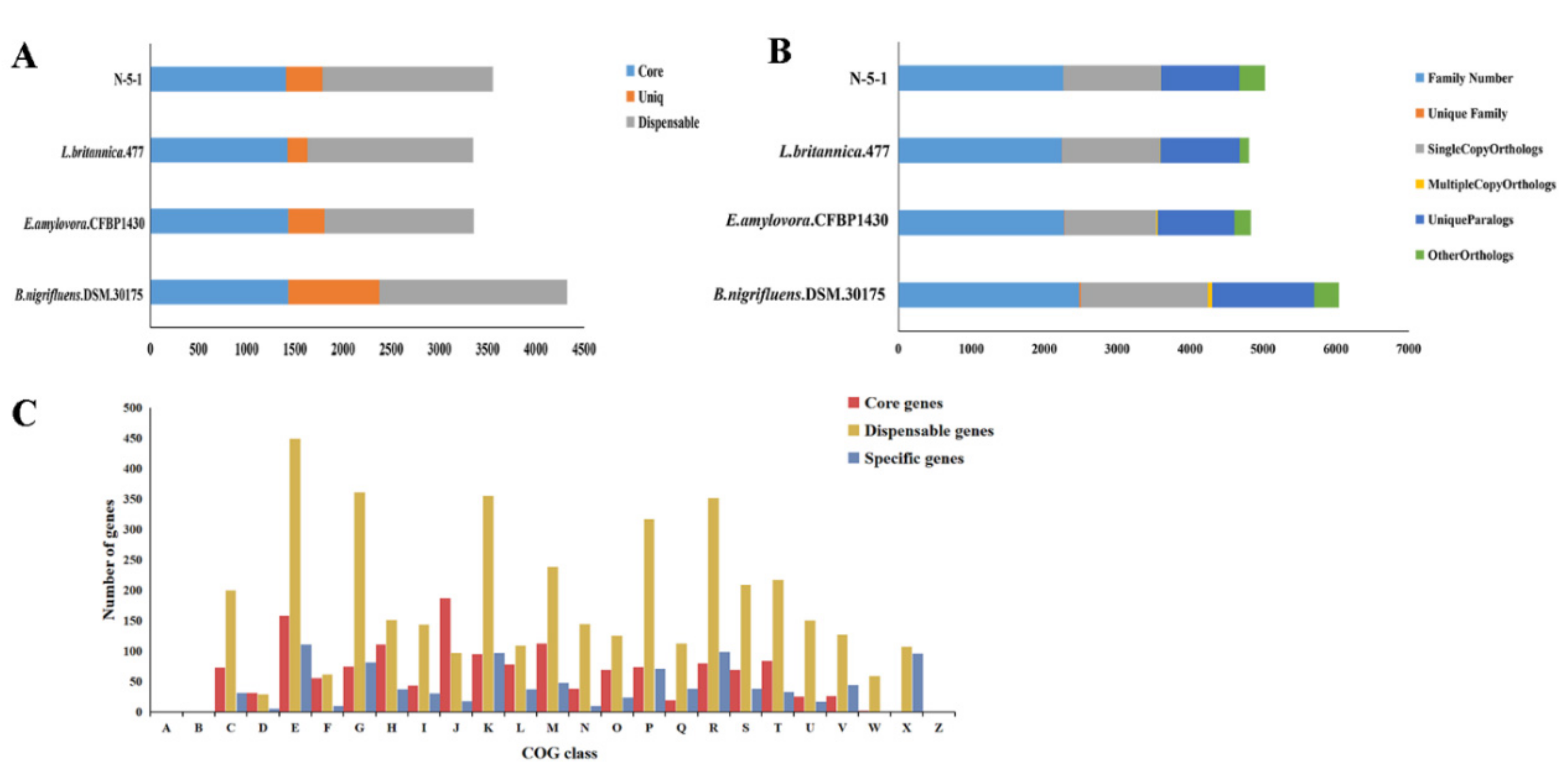 Genes 12 00246 g007 Genes 12 00246 g007