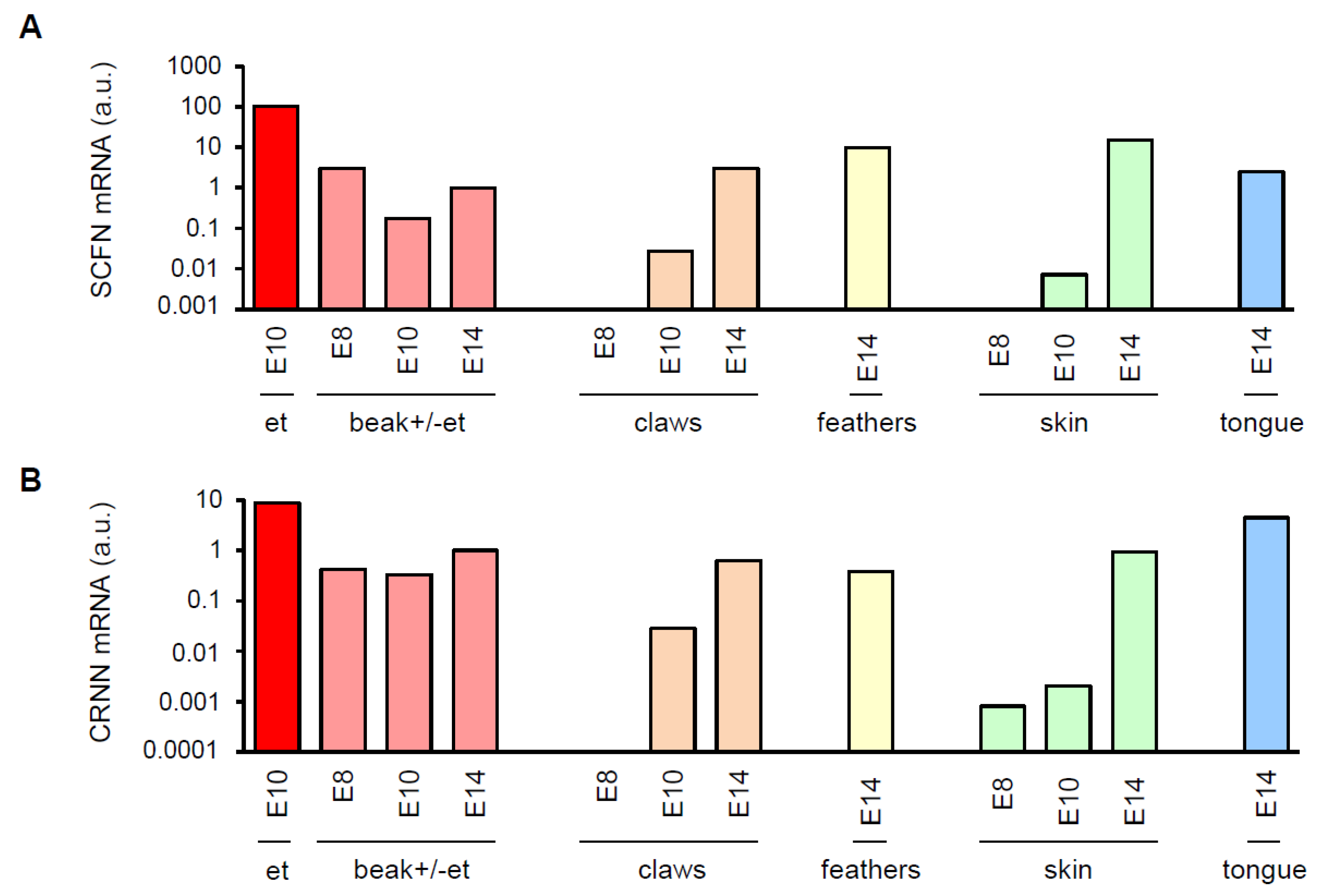 Genes 12 00248 g003 Genes 12 00248 g003