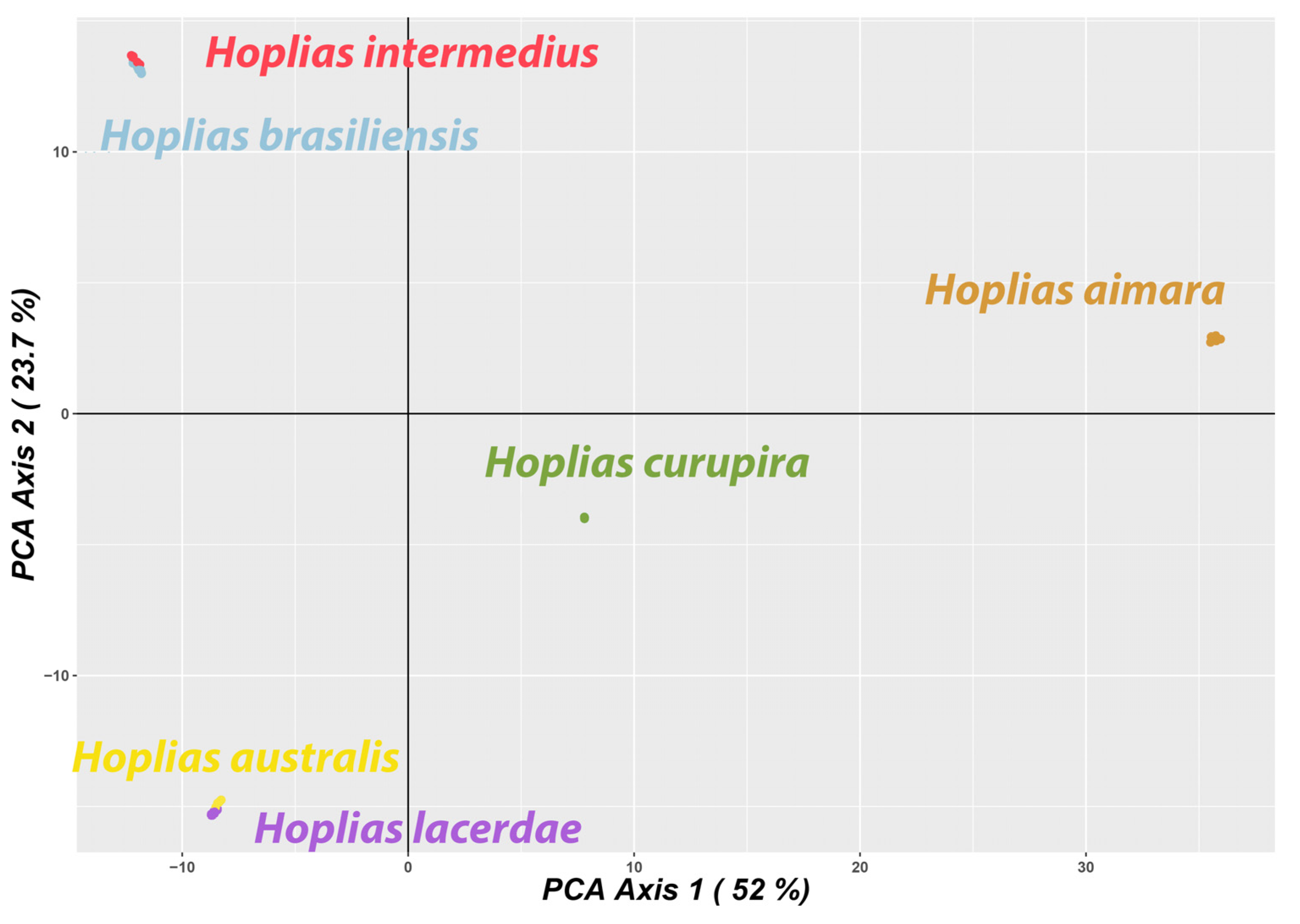 curupira program flow chart