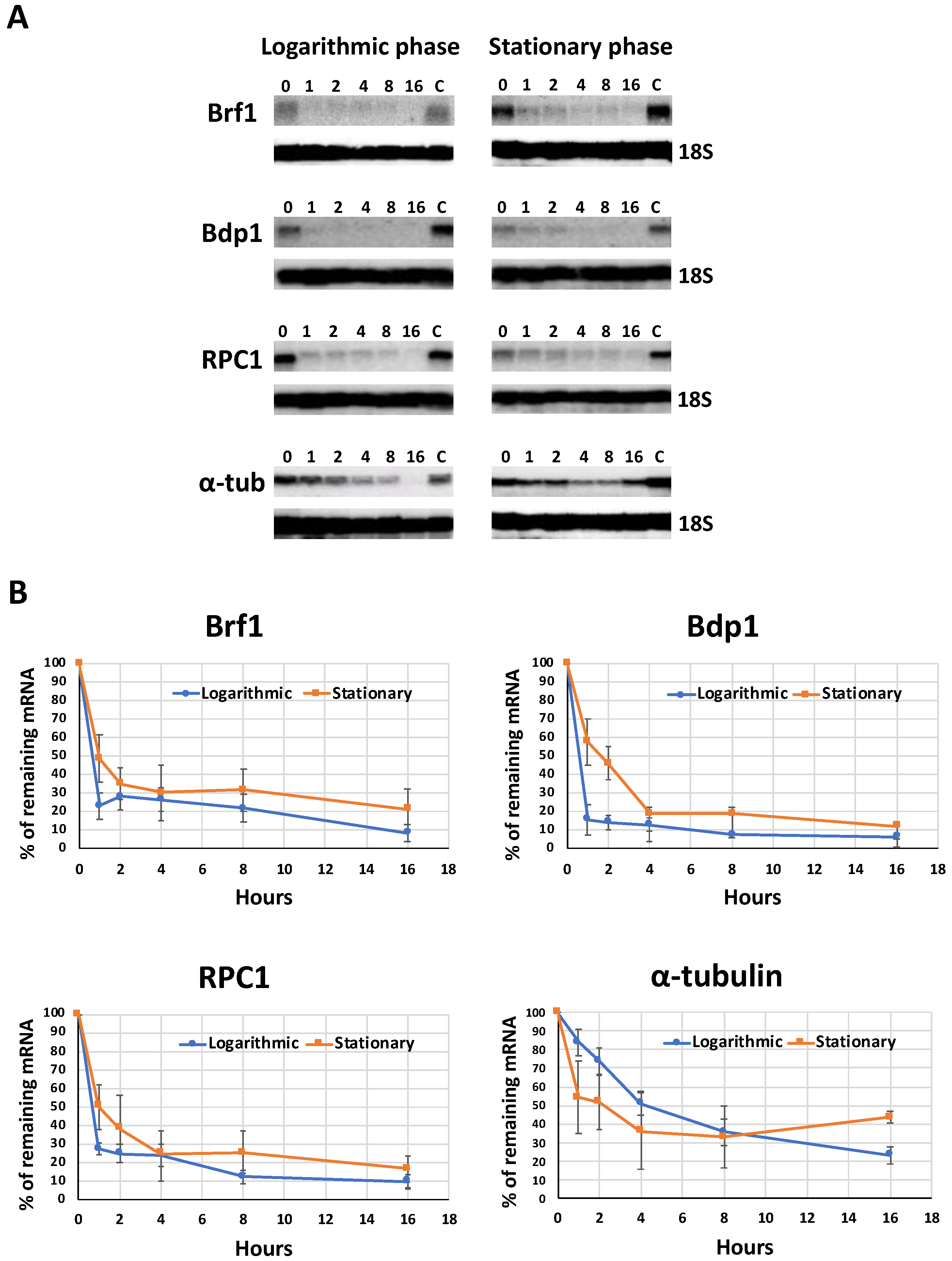 Genes 12 00280 g003