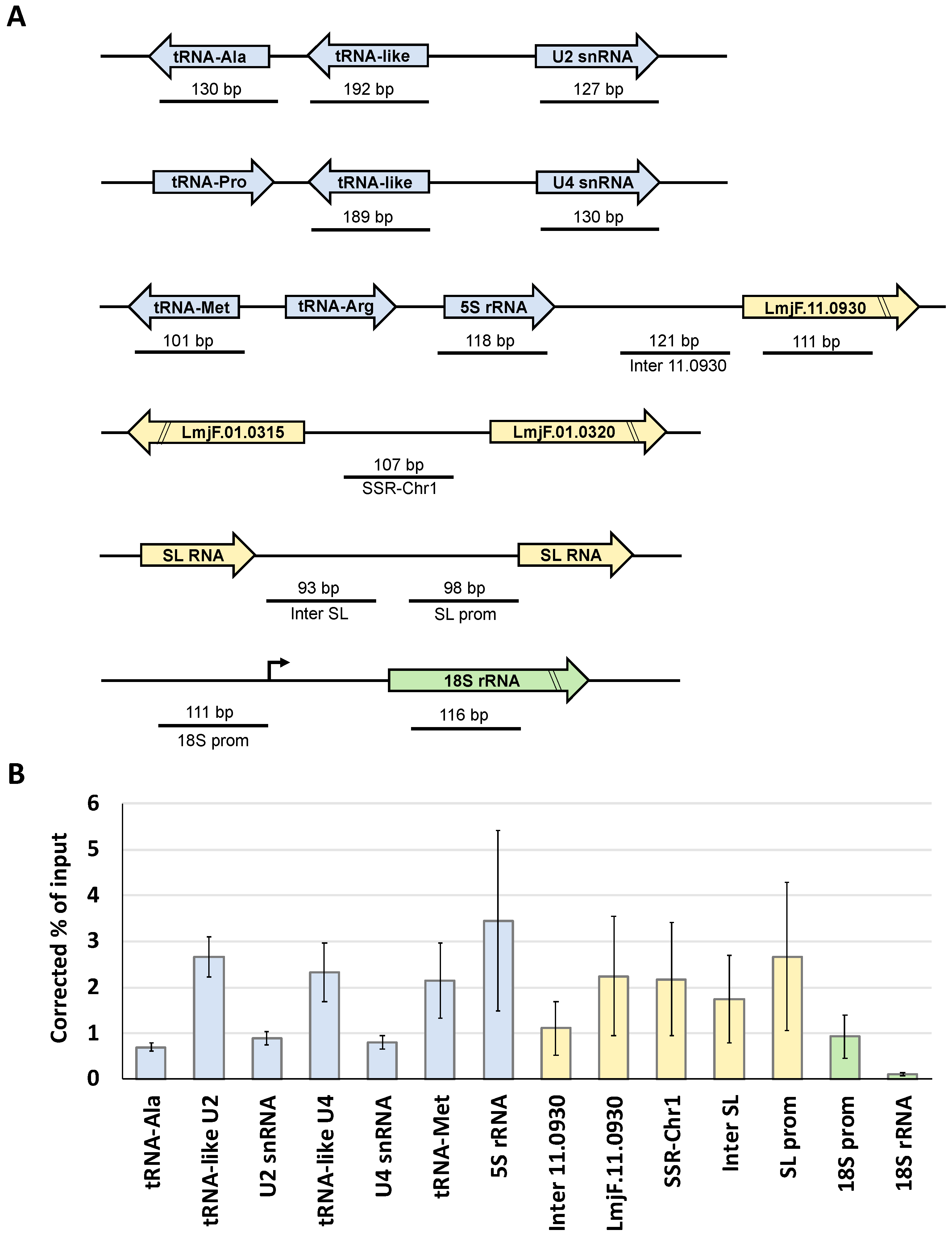 Genes 12 00280 g005