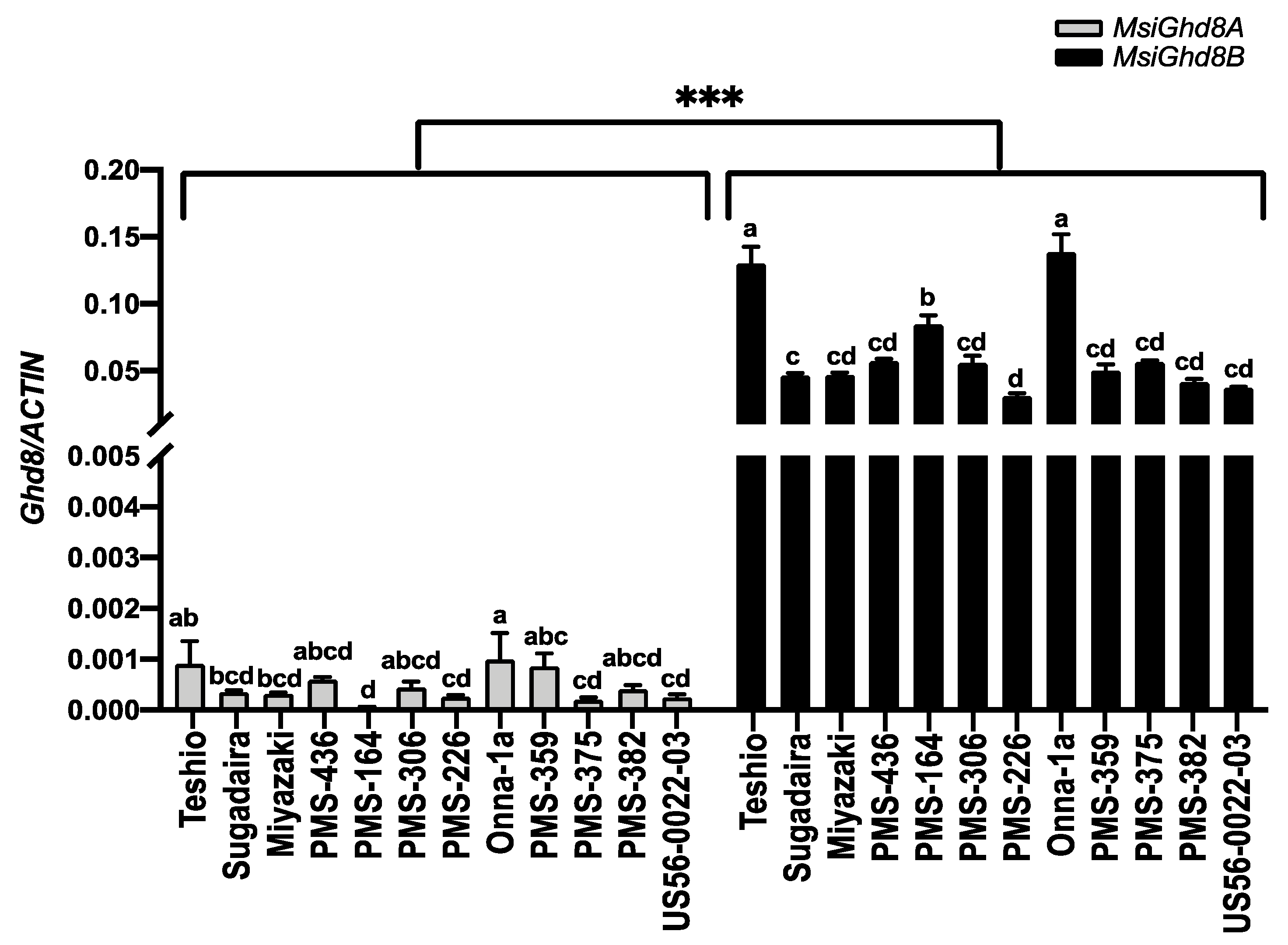Genes 12 00288 g004 Genes 12 00288 g004