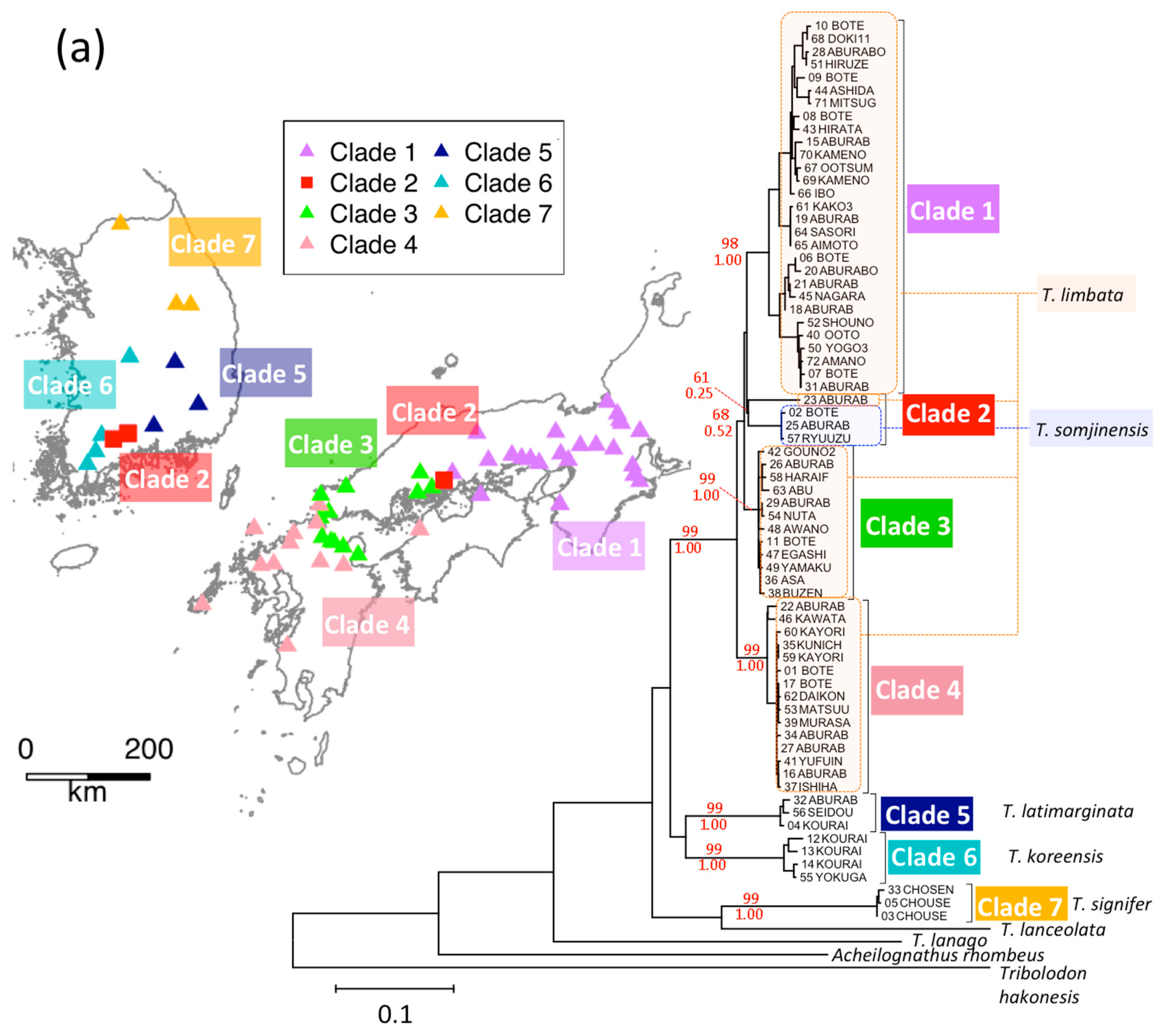 Genes | Free Full-Text | Waves Out of the Korean Peninsula and