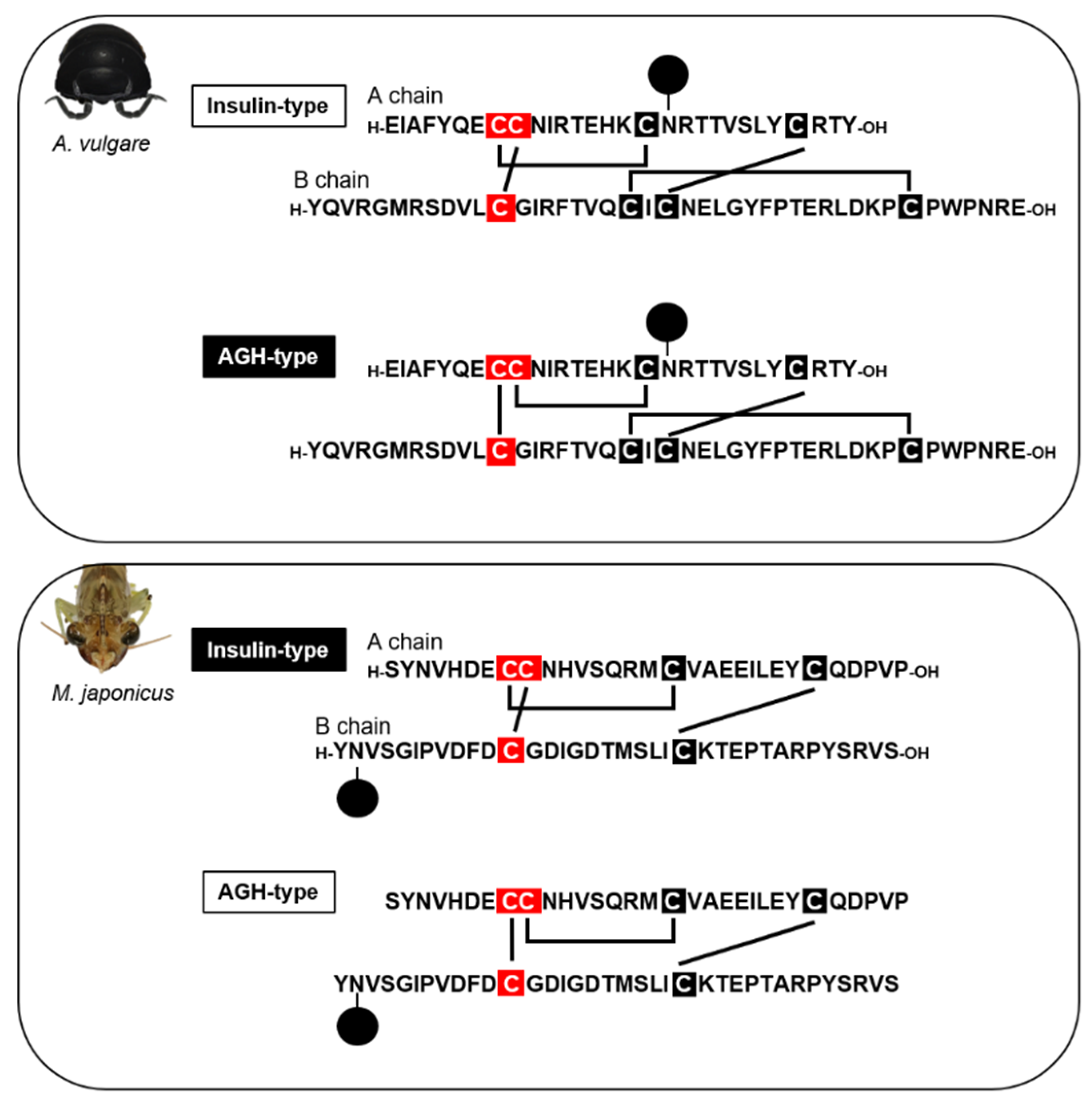 Genes 12 00305 g003 Genes 12 00305 g003