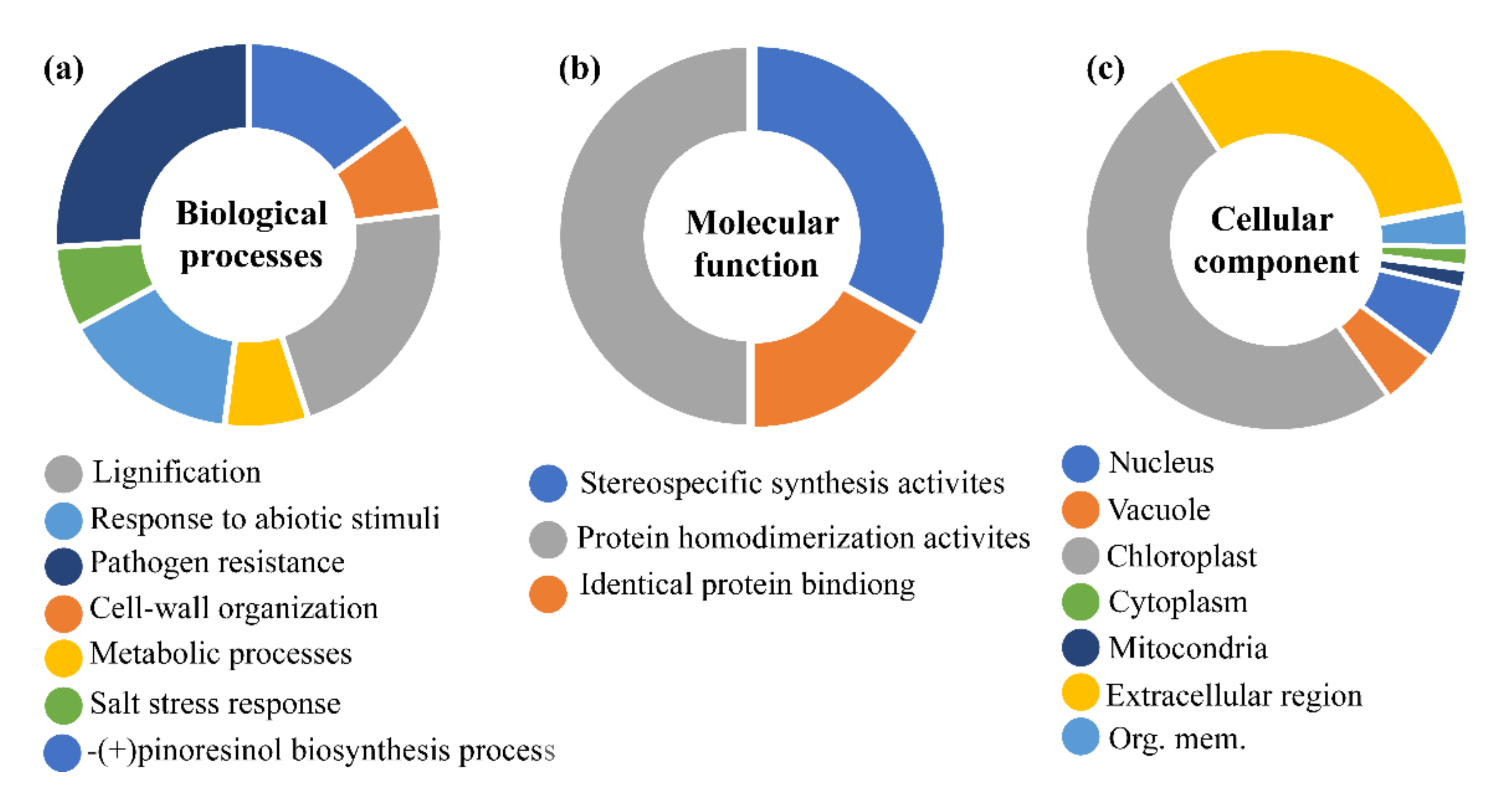 Genes 12 00326 g004