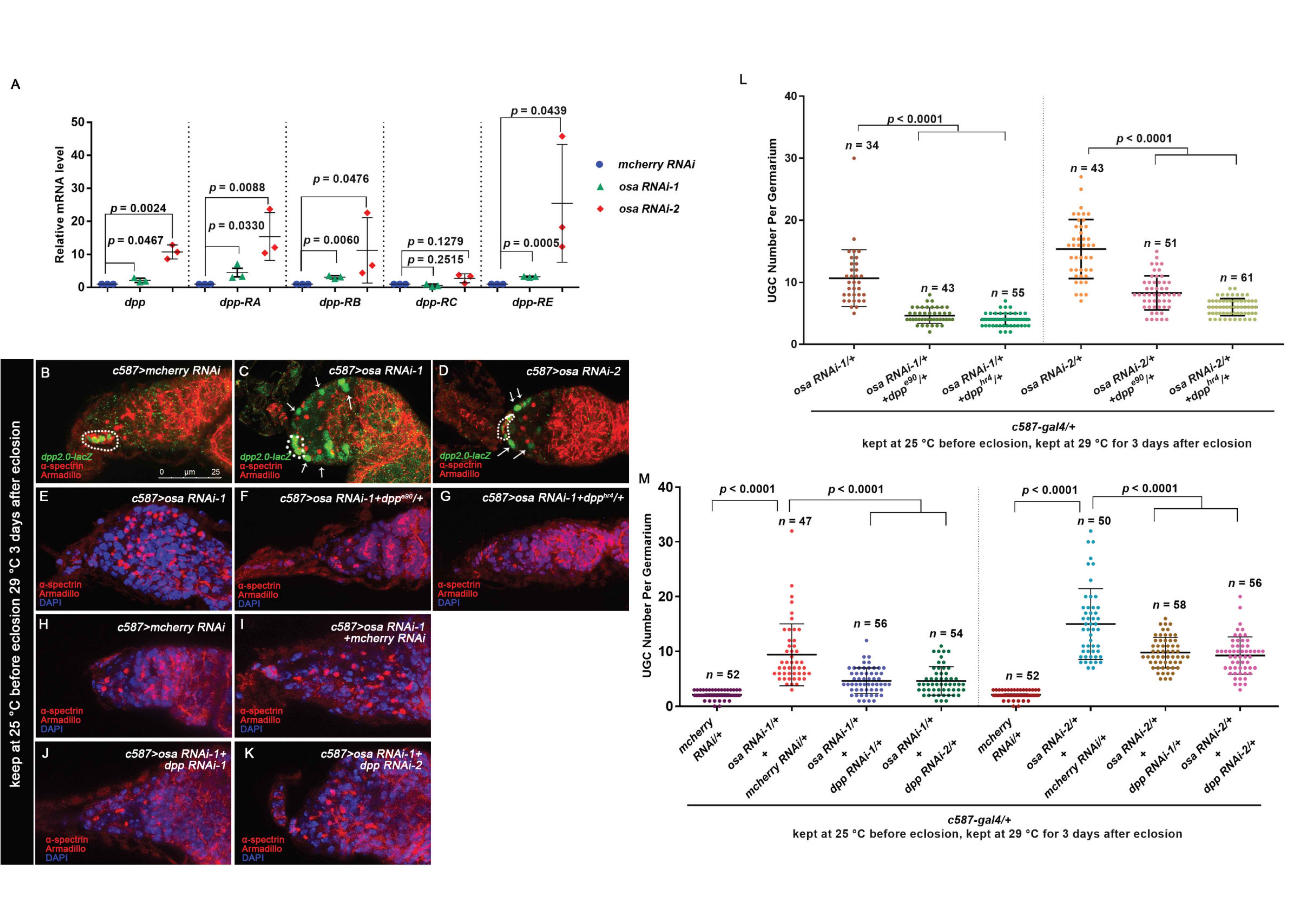 Genes 12 00363 g003 Genes 12 00363 g003