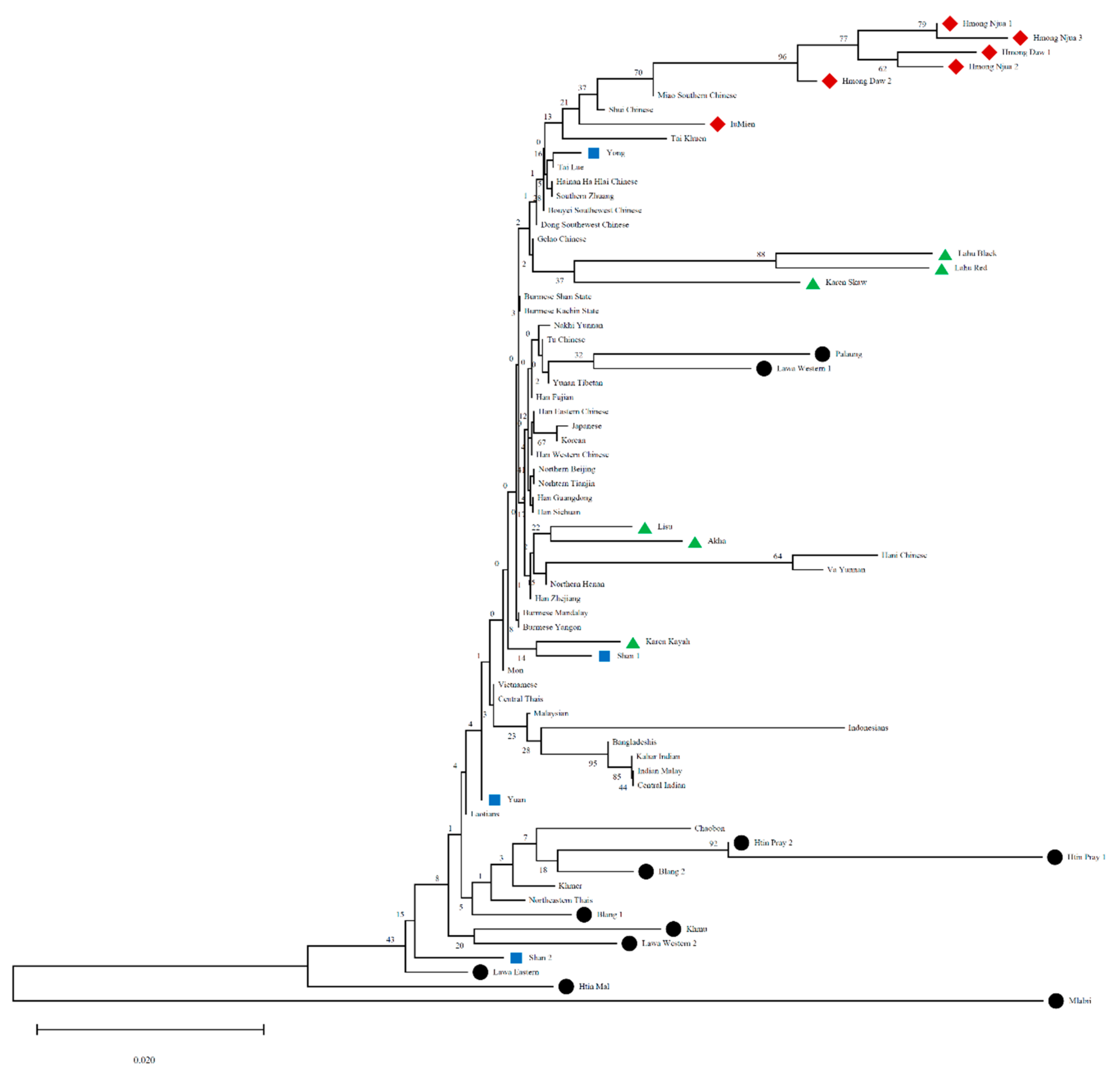 Genes 12 00383 g005 Genes 12 00383 g005