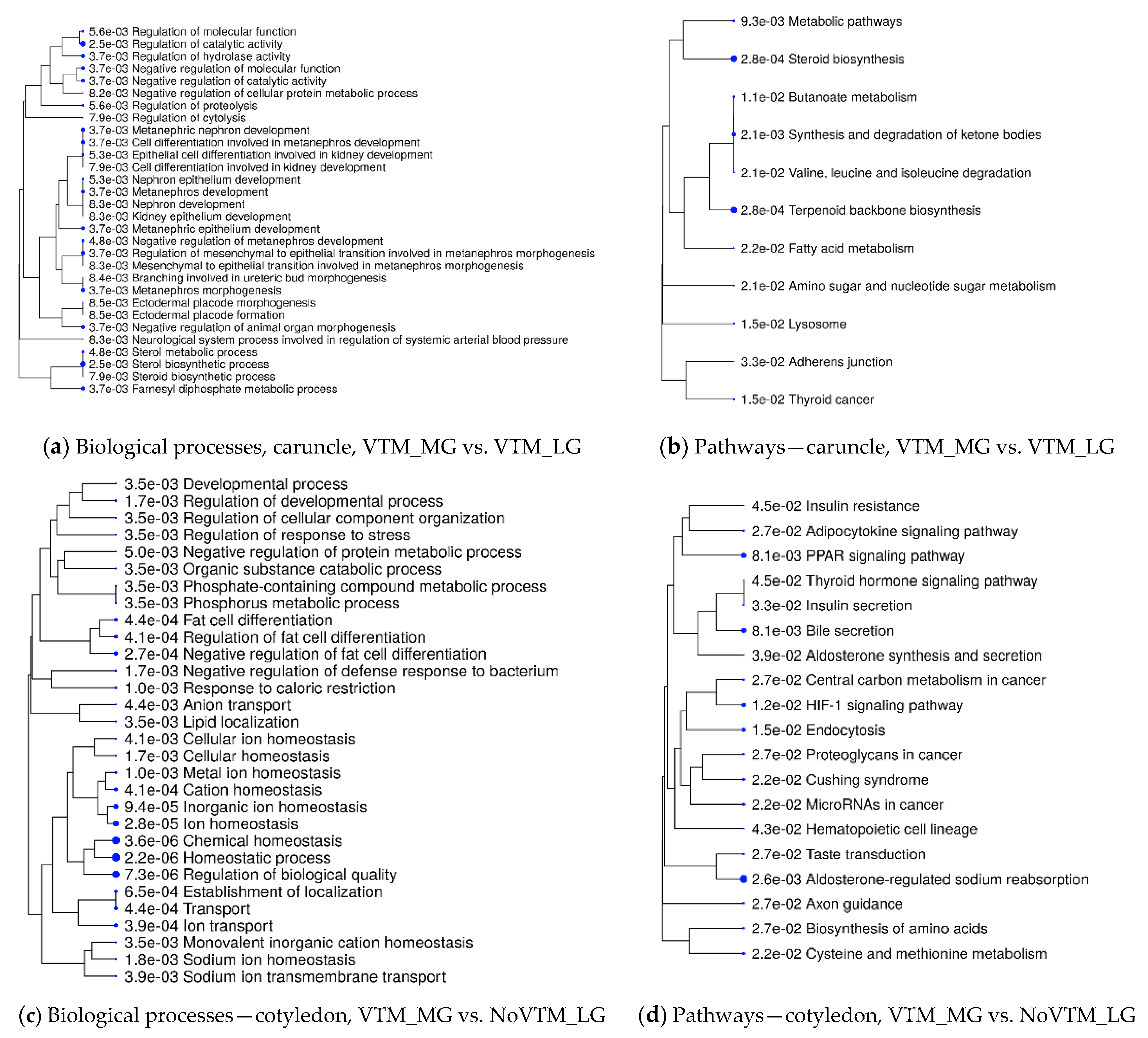 Genes Free Full Text Maternal Vitamin and Mineral  