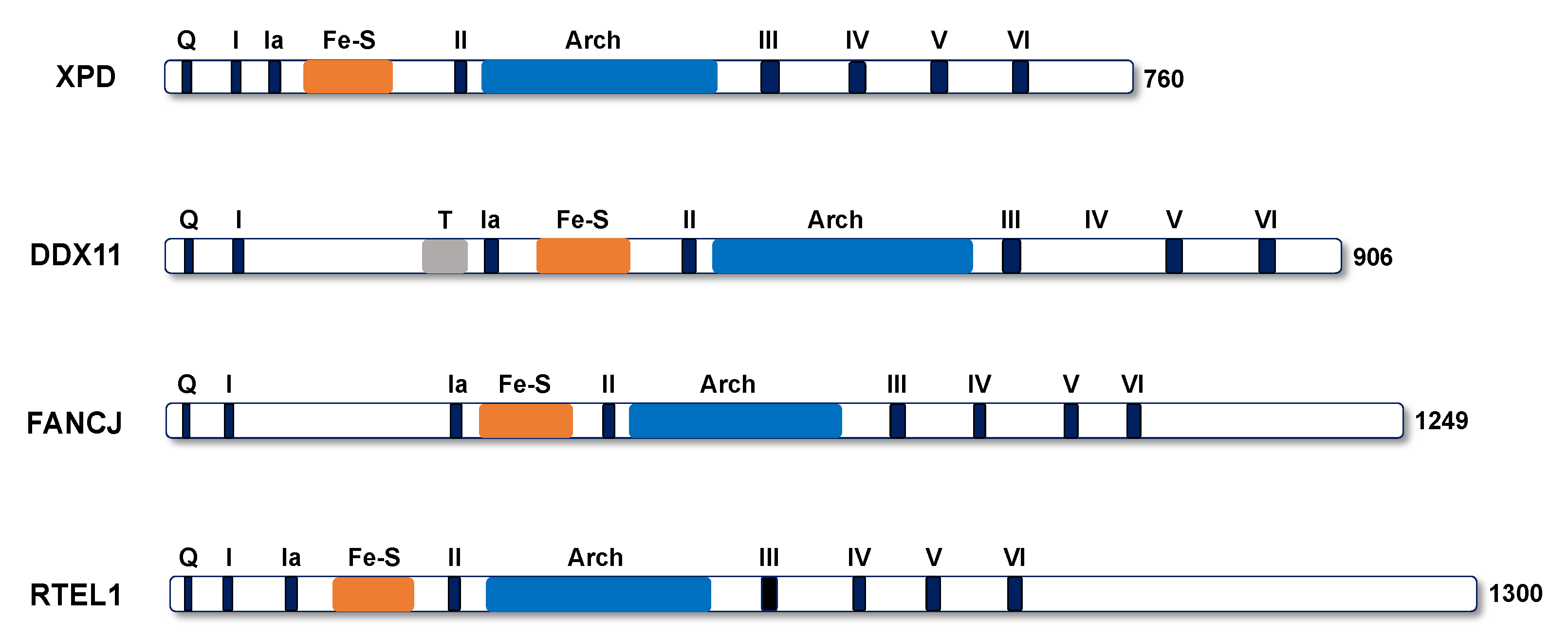 Genes 12 00395 g001 Genes 12 00395 g001