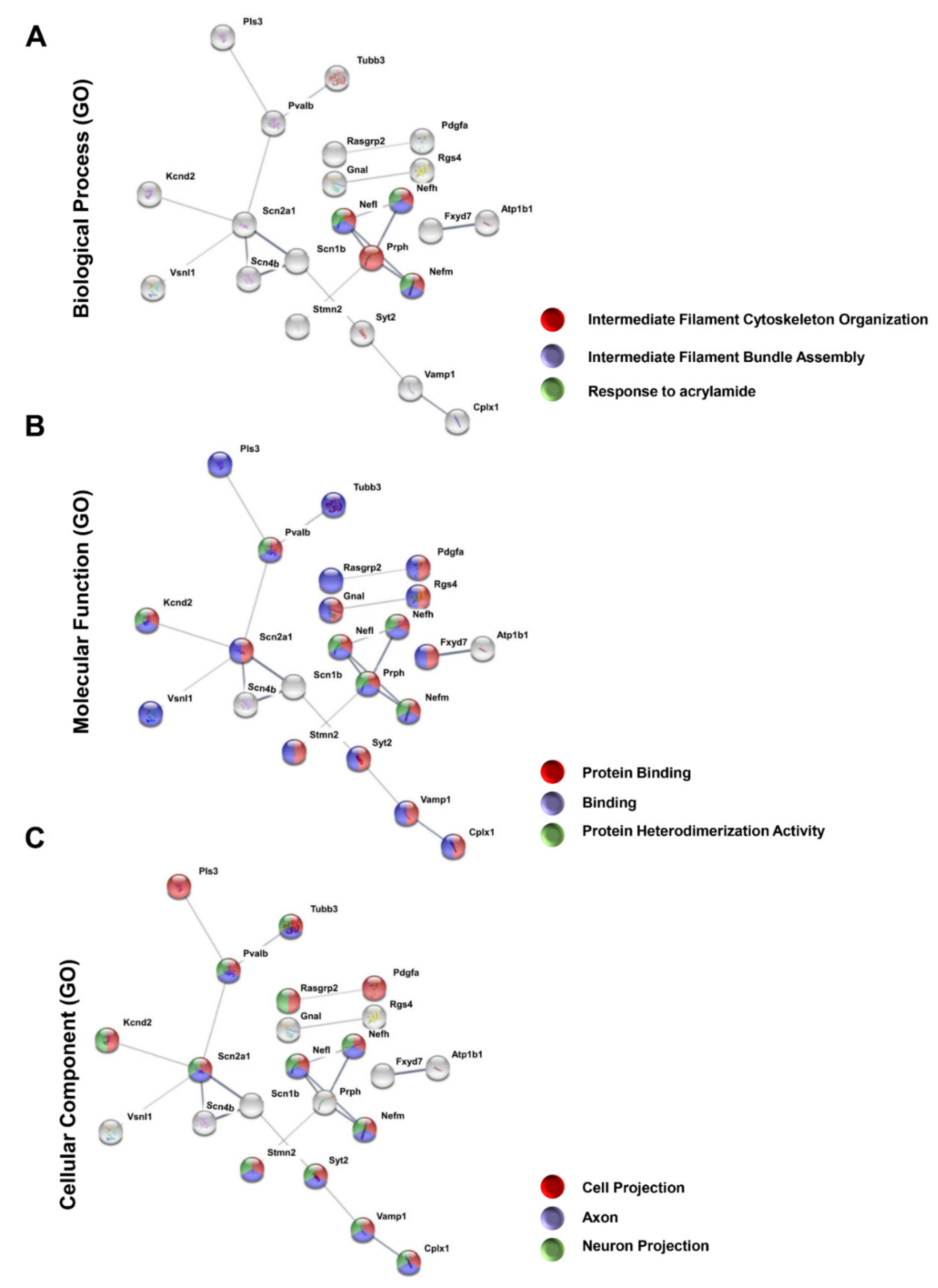 Genes 12 00403 g002 Genes 12 00403 g002