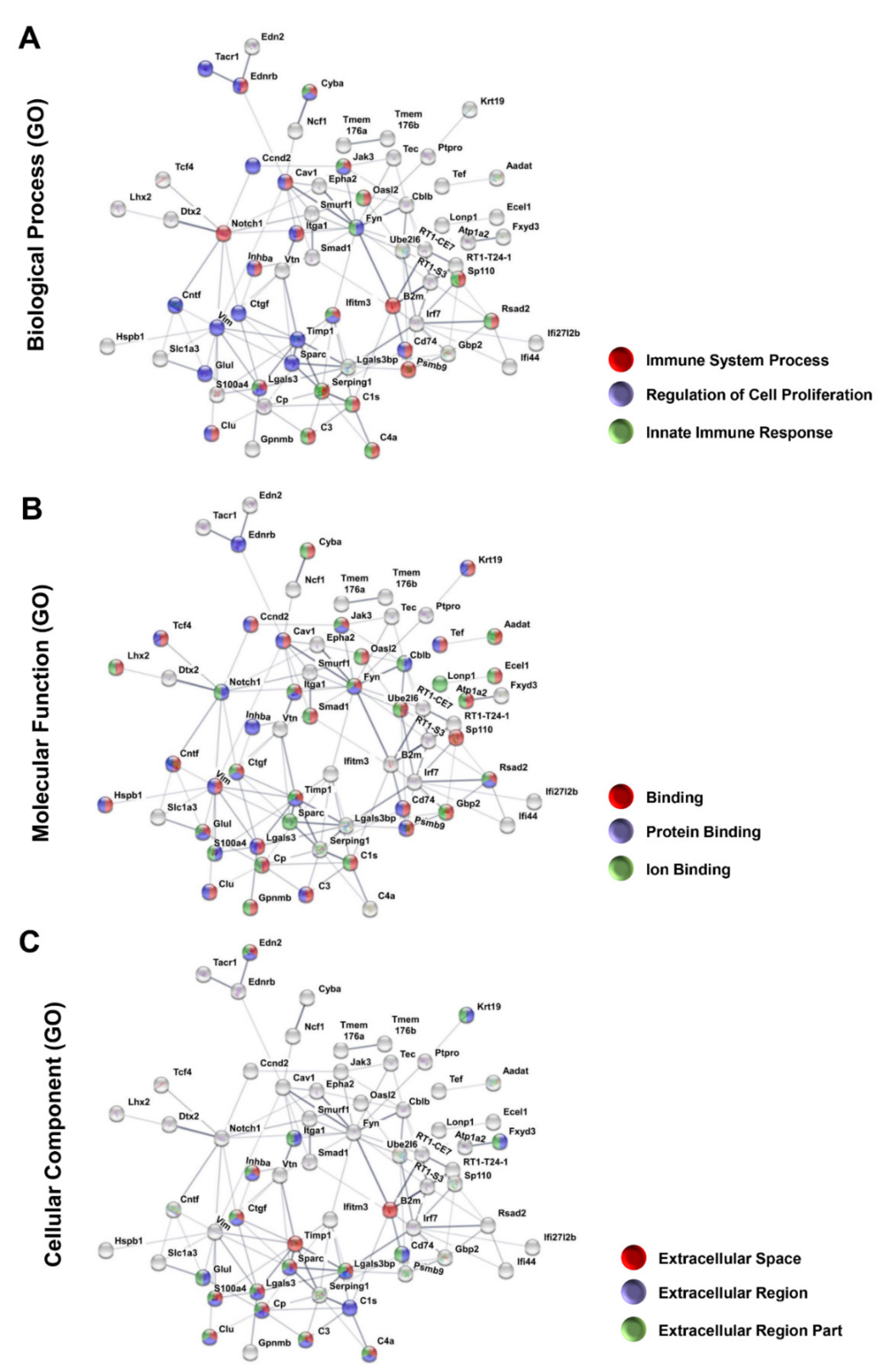Genes 12 00403 g003 Genes 12 00403 g003