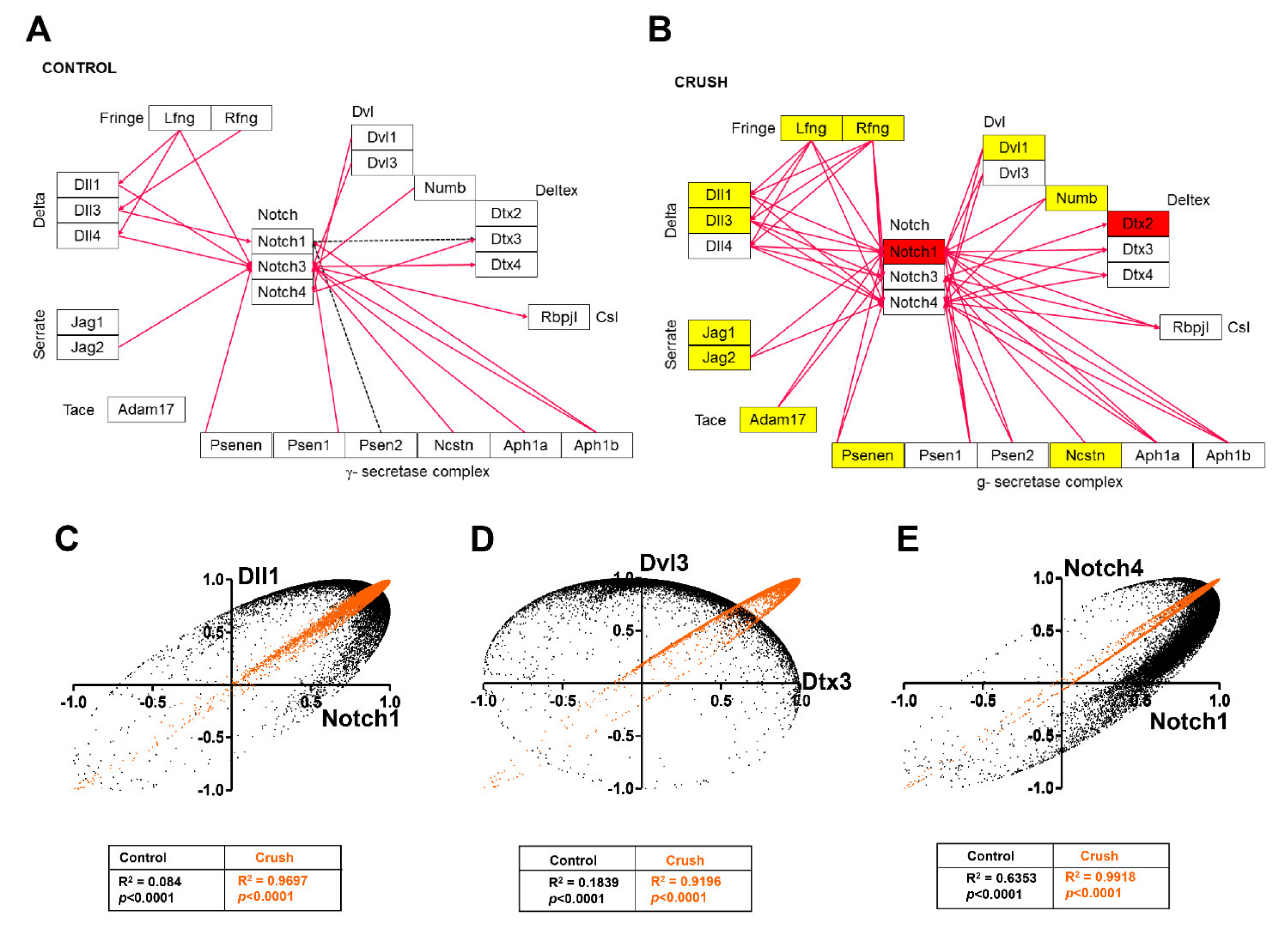 Genes 12 00403 g005 Genes 12 00403 g005