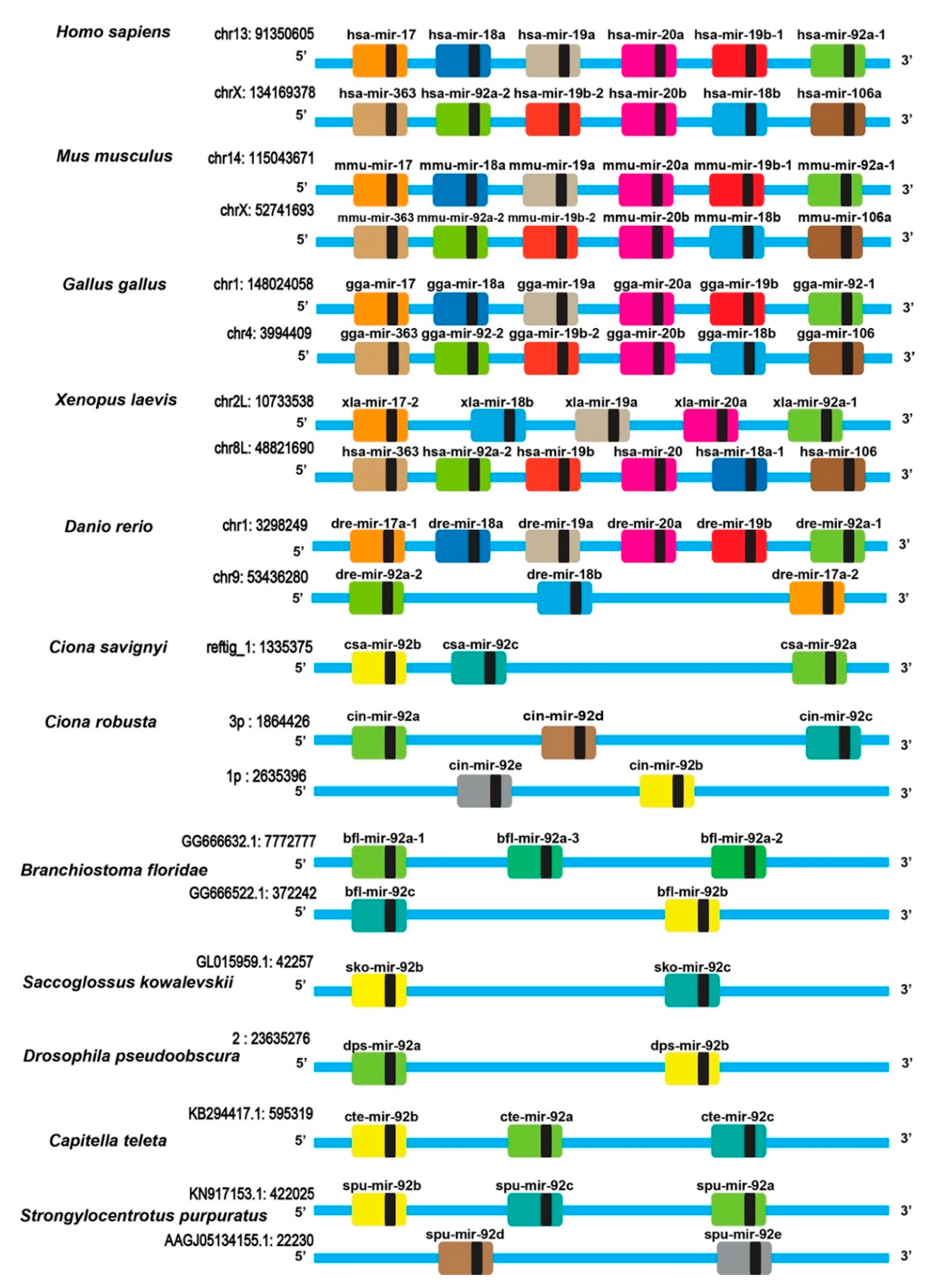 Genes 12 00406 g003 Genes 12 00406 g003
