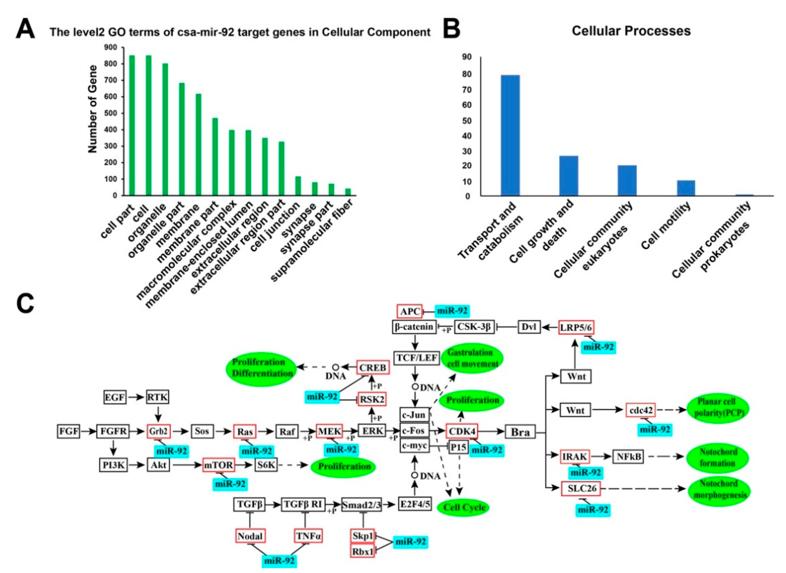 Genes 12 00406 g007 Genes 12 00406 g007