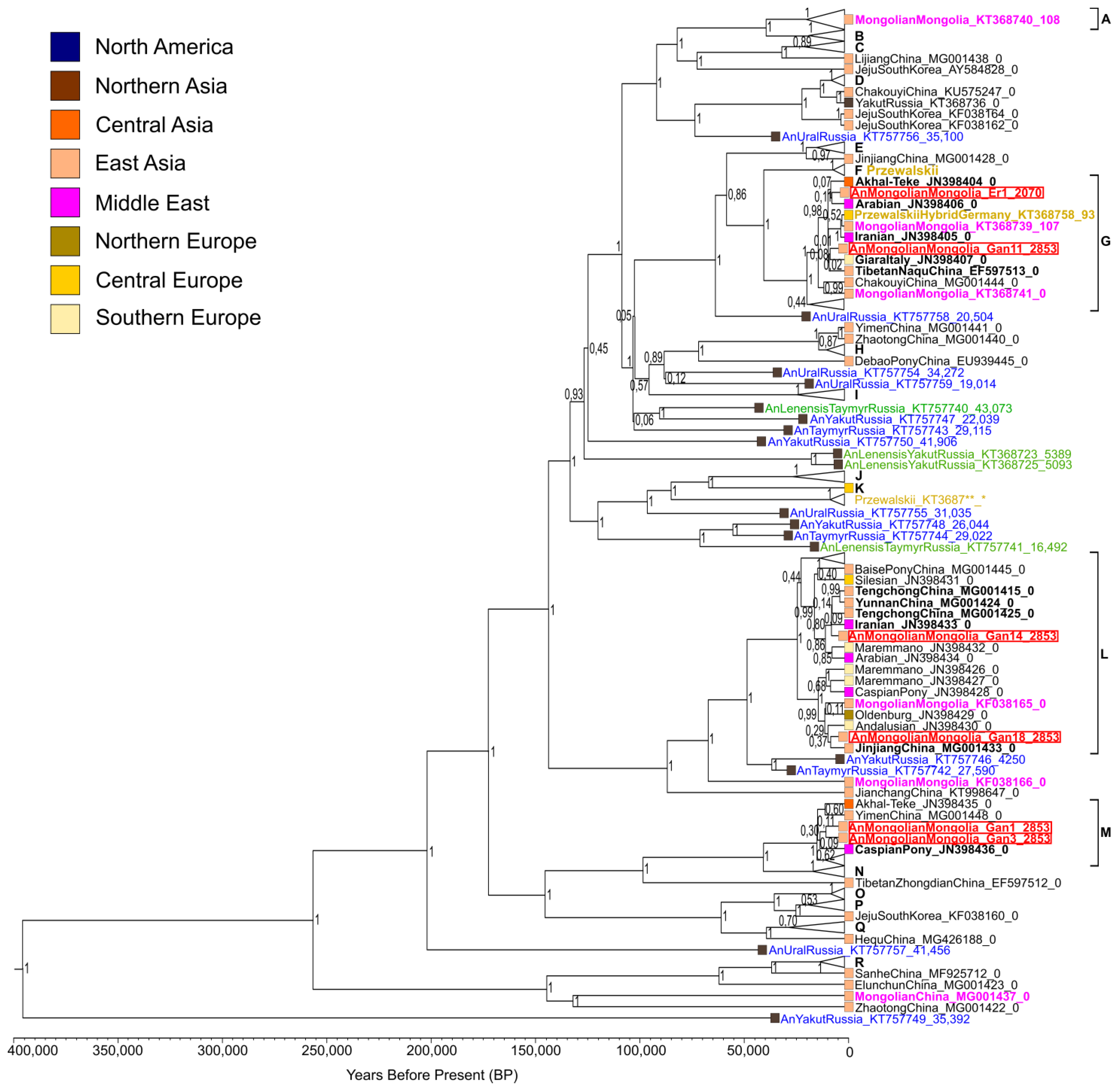 Genes 12 00412 g001 Genes 12 00412 g001