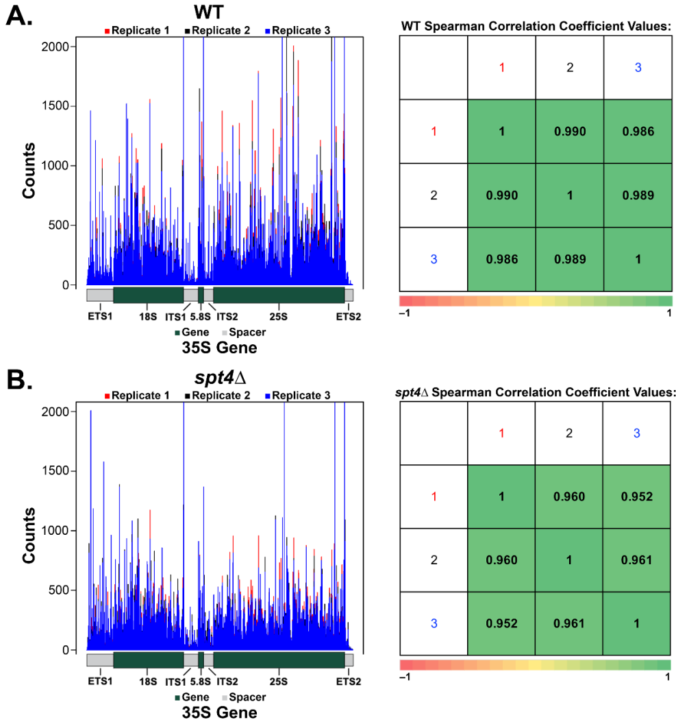 Genes 12 00413 g001 Genes 12 00413 g001
