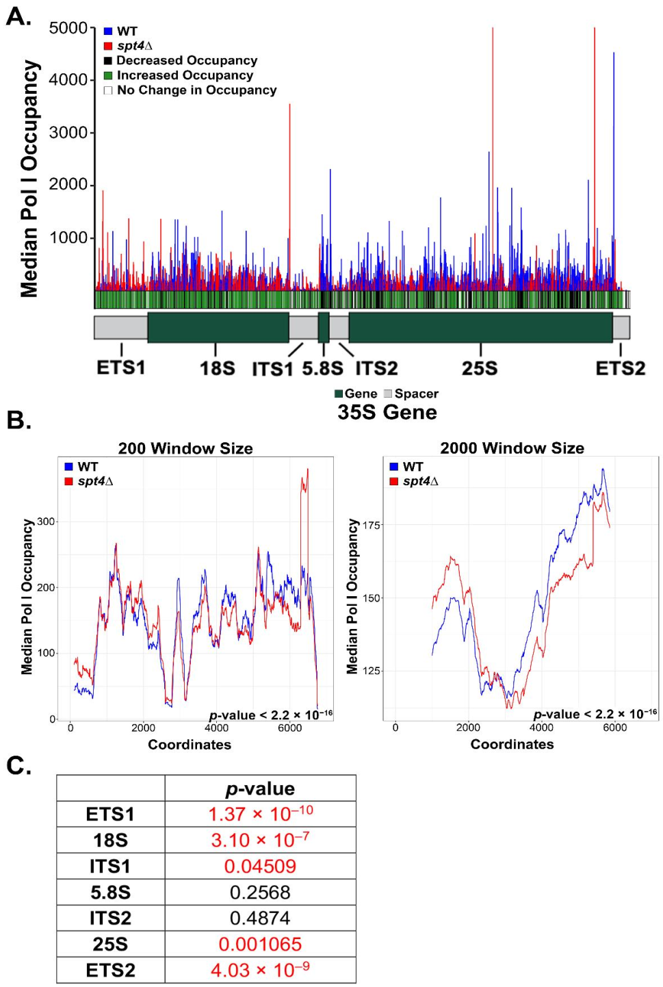 Genes 12 00413 g002 Genes 12 00413 g002