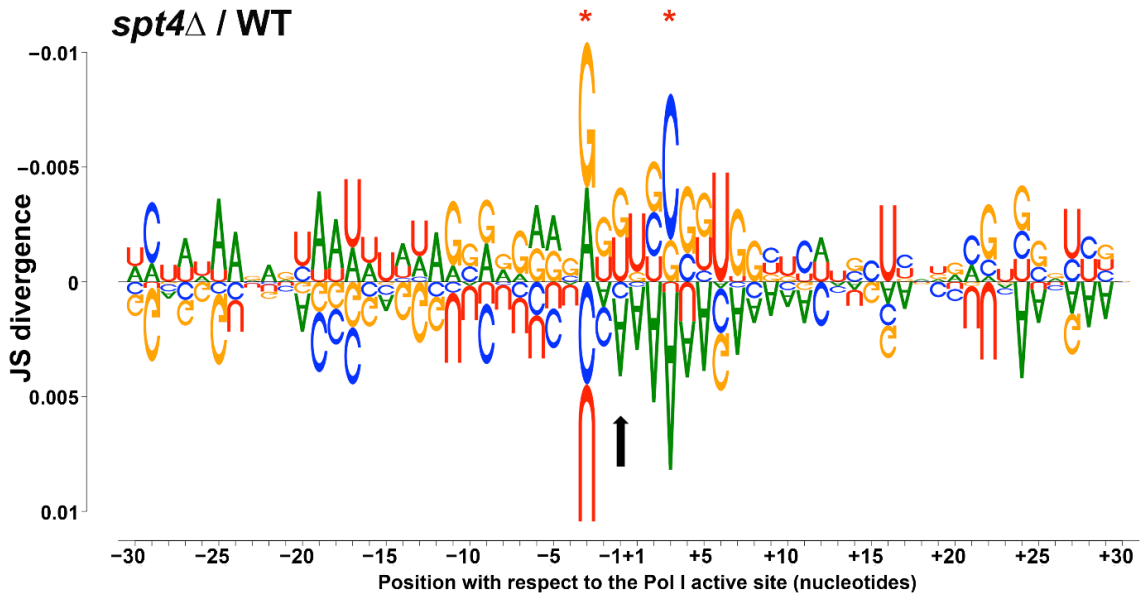 Genes 12 00413 g003 Genes 12 00413 g003