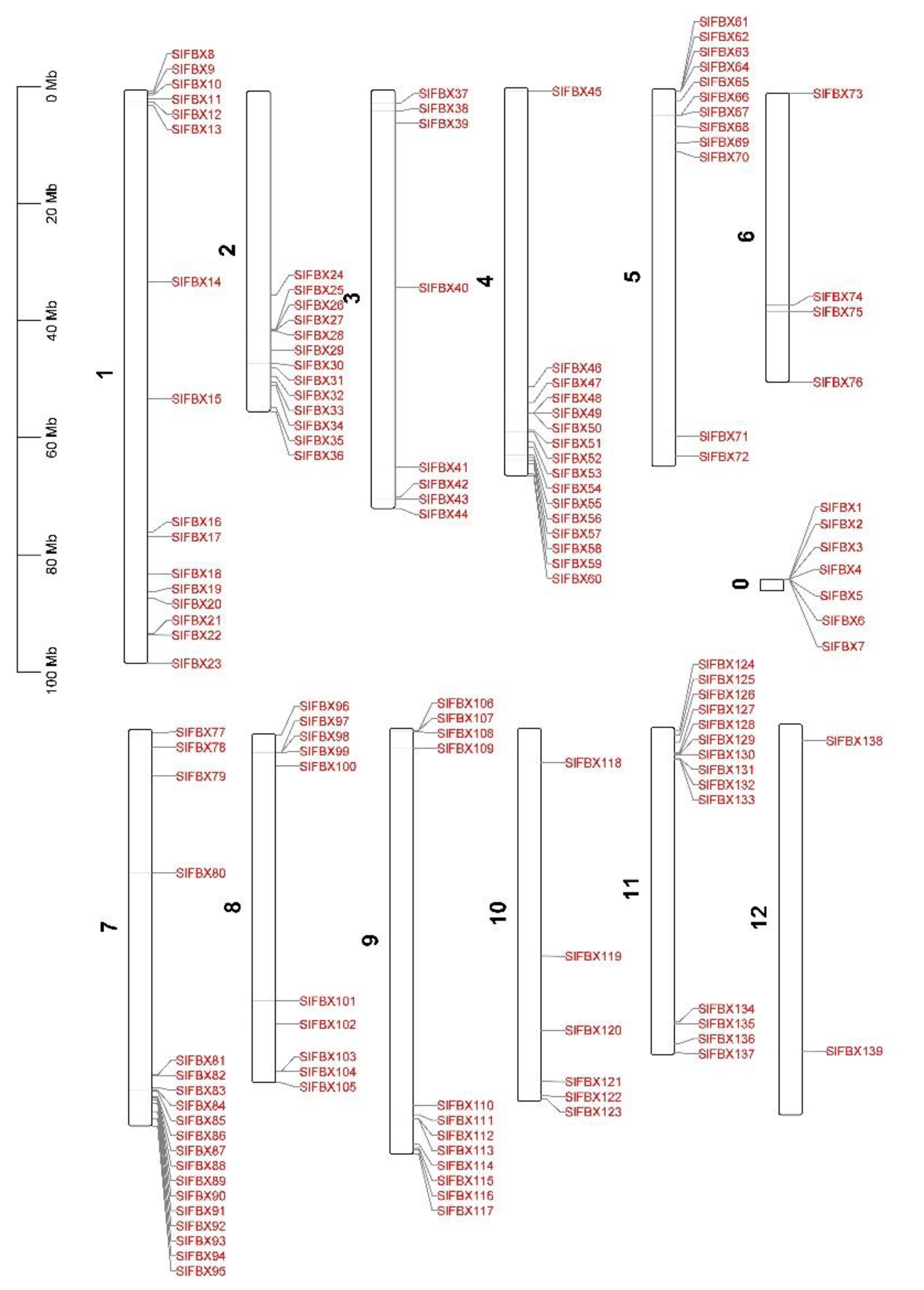 Genes 12 00417 g004 Genes 12 00417 g004