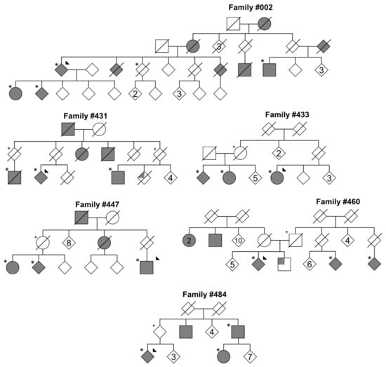 Genes Free Full Text Hunting For Familial Parkinson S Disease Mutations In The Post Genome Era Html