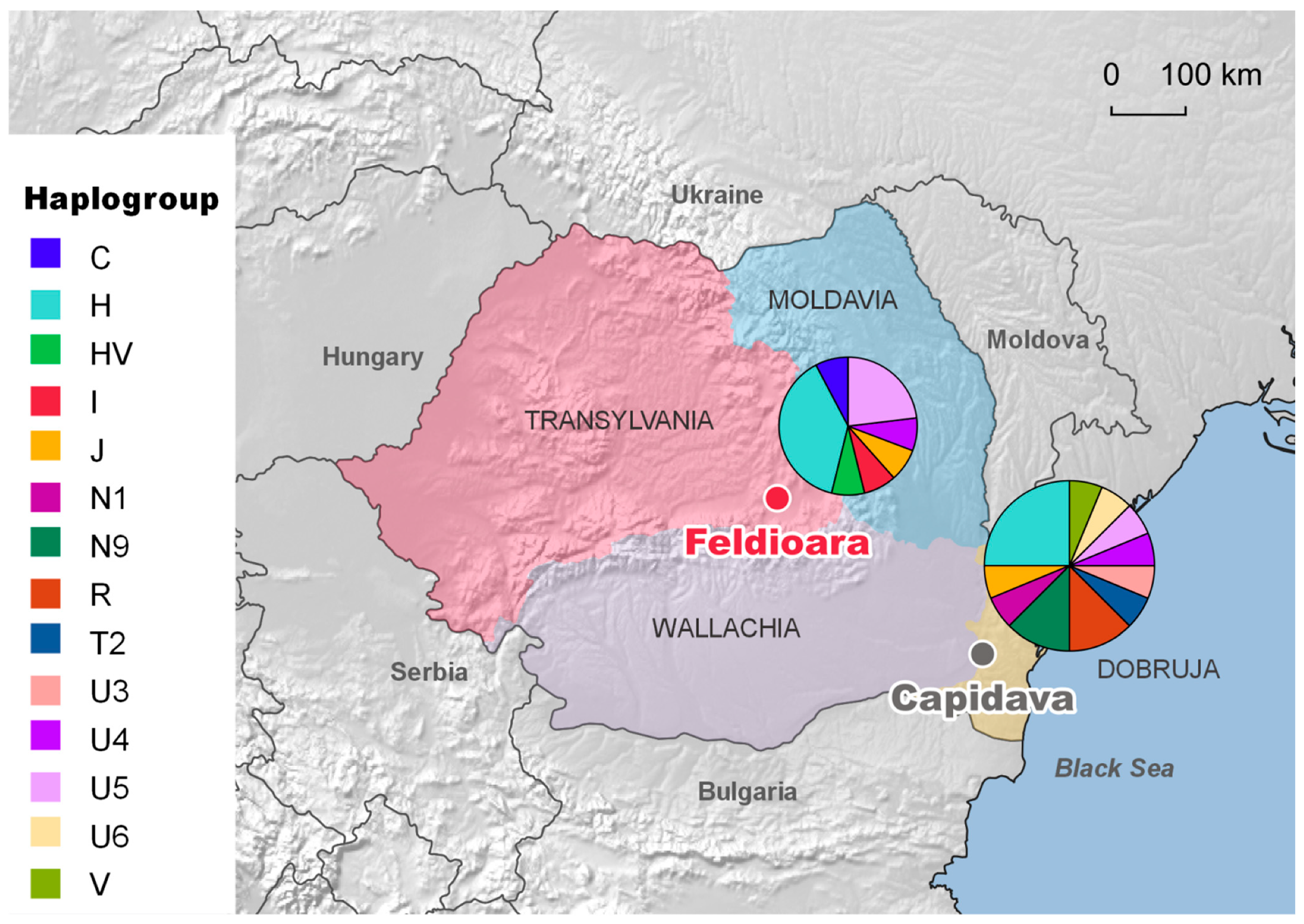 Genes | Free Full-Text | Mitochondrial DNA Profiles of Individuals from a  12th Century Necropolis in Feldioara (Transylvania)
