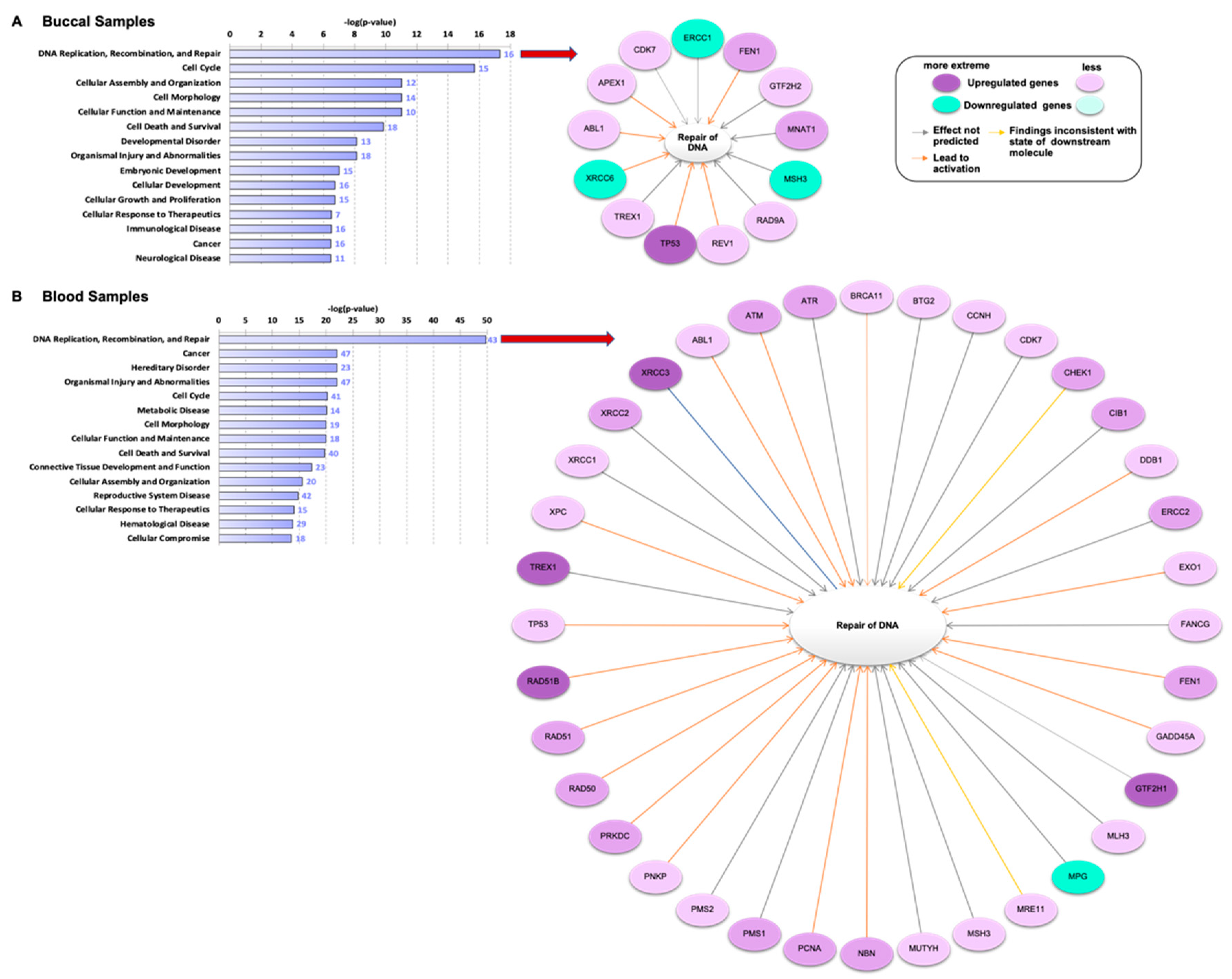 Genes 12 00448 g002 Genes 12 00448 g002