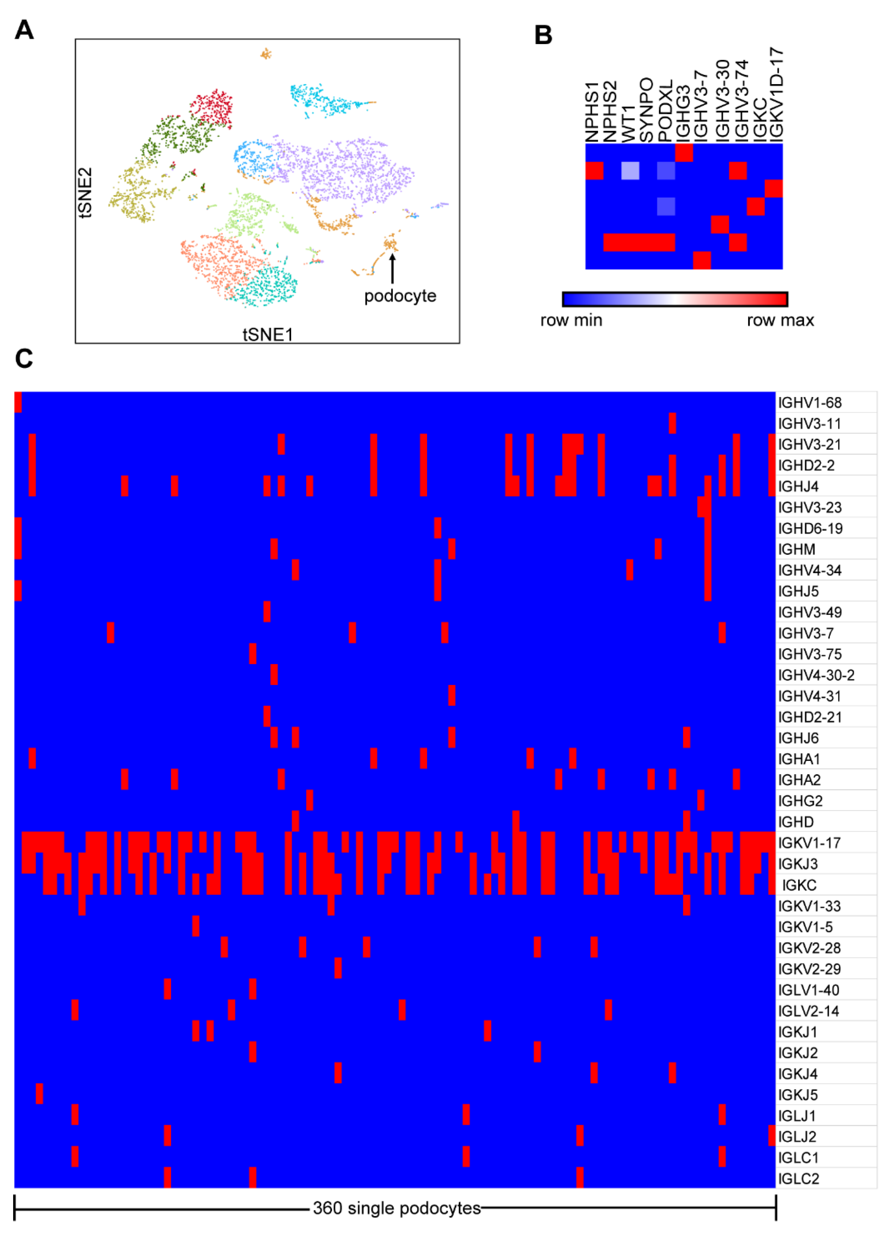 Genes 12 00472 g001 Genes 12 00472 g001