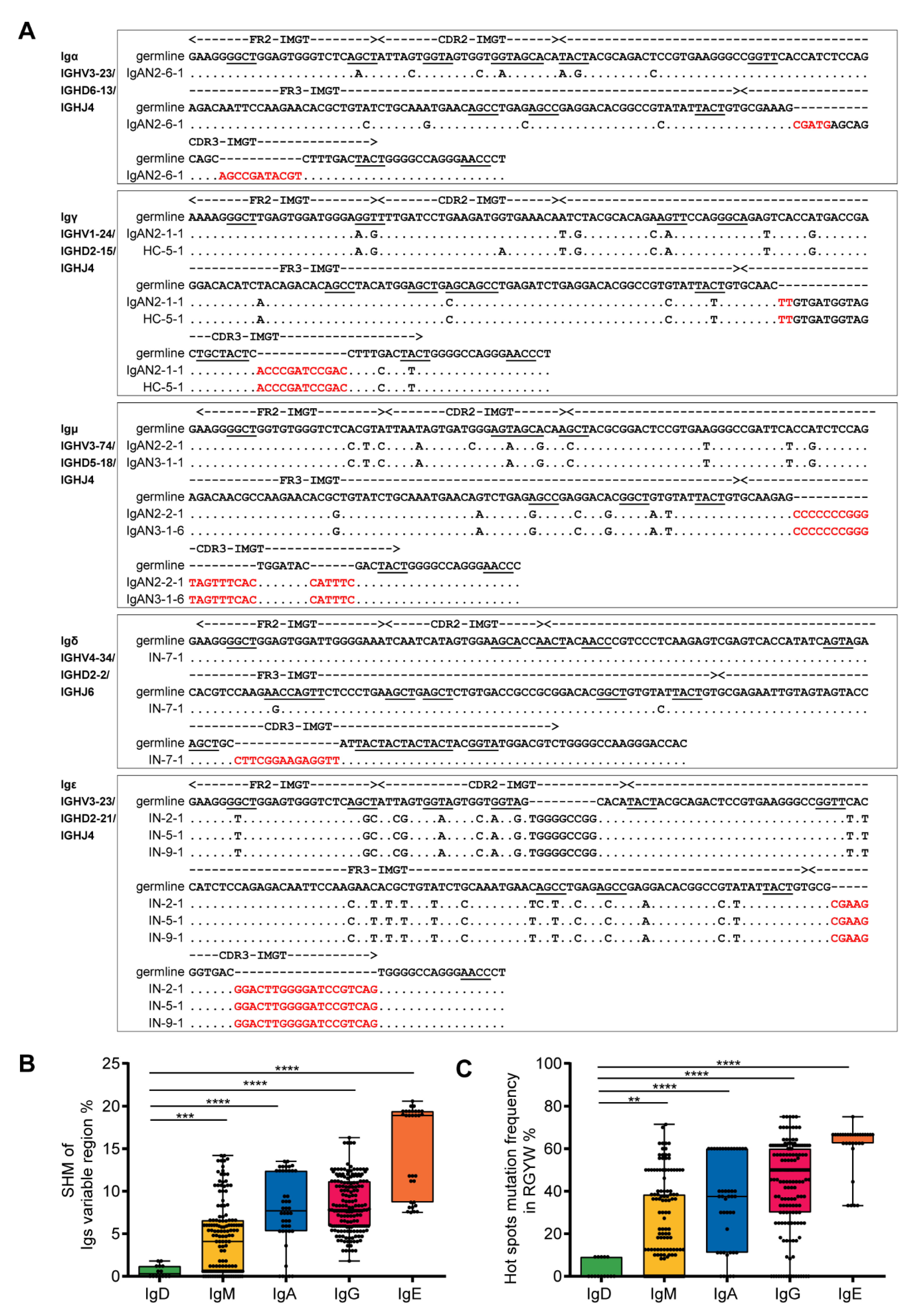 Genes Free Full Text Single Cell Sequencing Confirms Transcripts And Vhdjh Rearrangements Of Immunoglobulin Genes In Human Podocytes Html