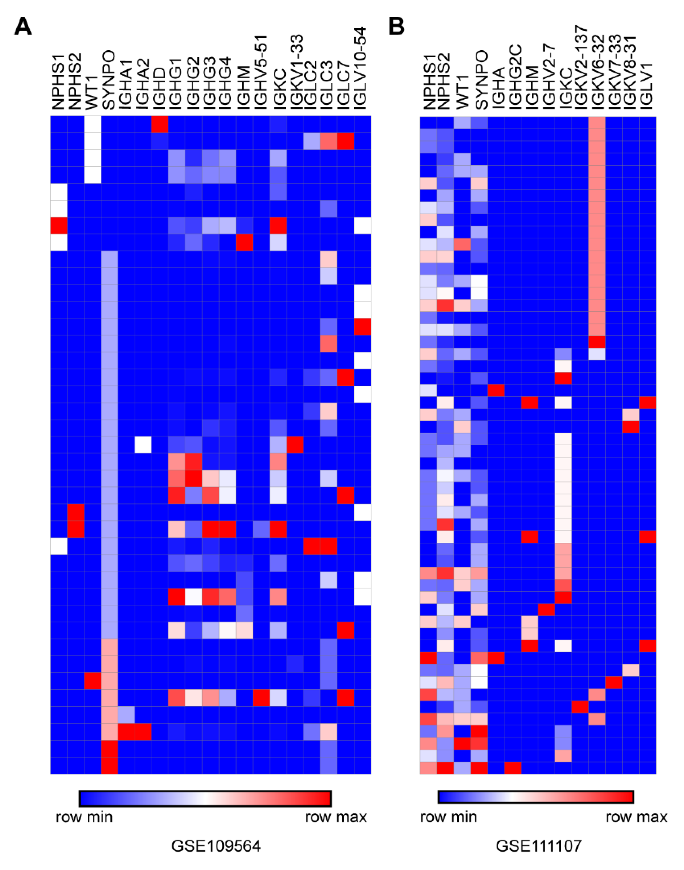 Genes 12 00472 g007 Genes 12 00472 g007