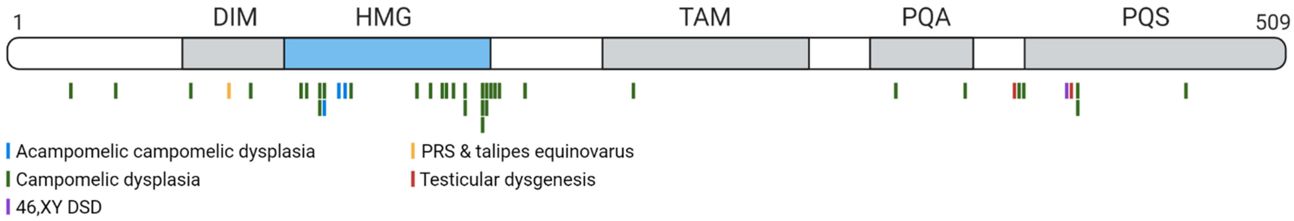 Genes 12 00486 g006