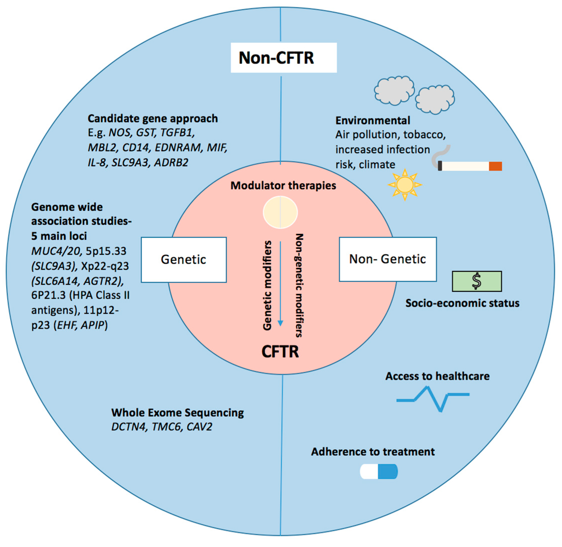 Genes | Free Full-Text | Cystic Fibrosis Lung Disease Modifiers and Their  Relevance in the New Era of Precision Medicine