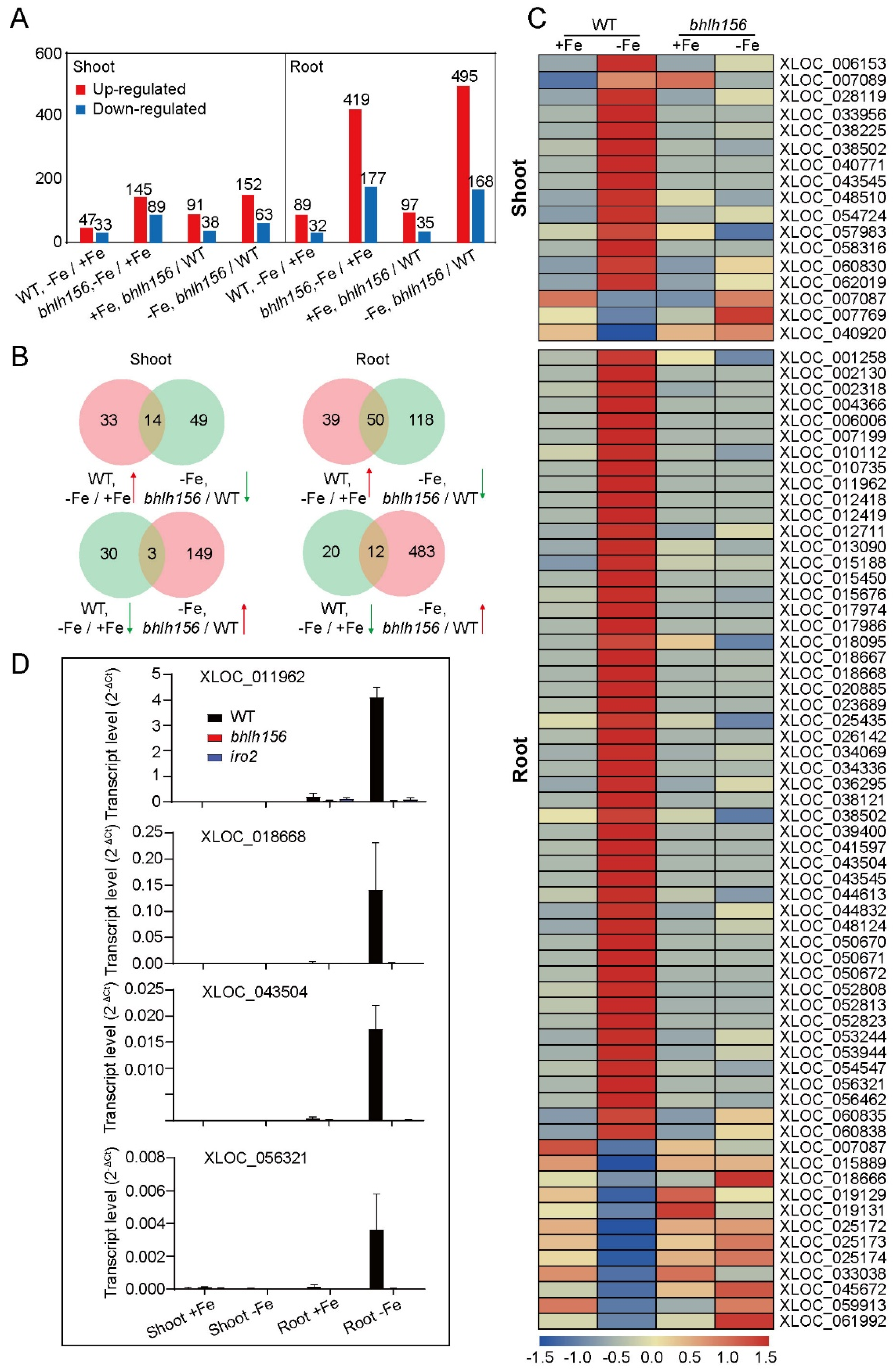 Genes 12 00567 g008 Genes 12 00567 g008