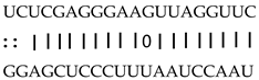 Genes 12 00567 i007 Genes 12 00567 i007