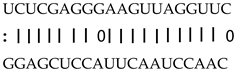 Genes 12 00567 i008 Genes 12 00567 i008