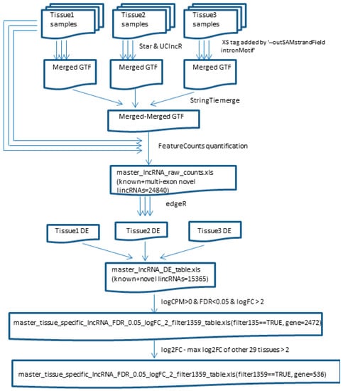 The GTEx Consortium atlas of genetic regulatory effects across human  tissues