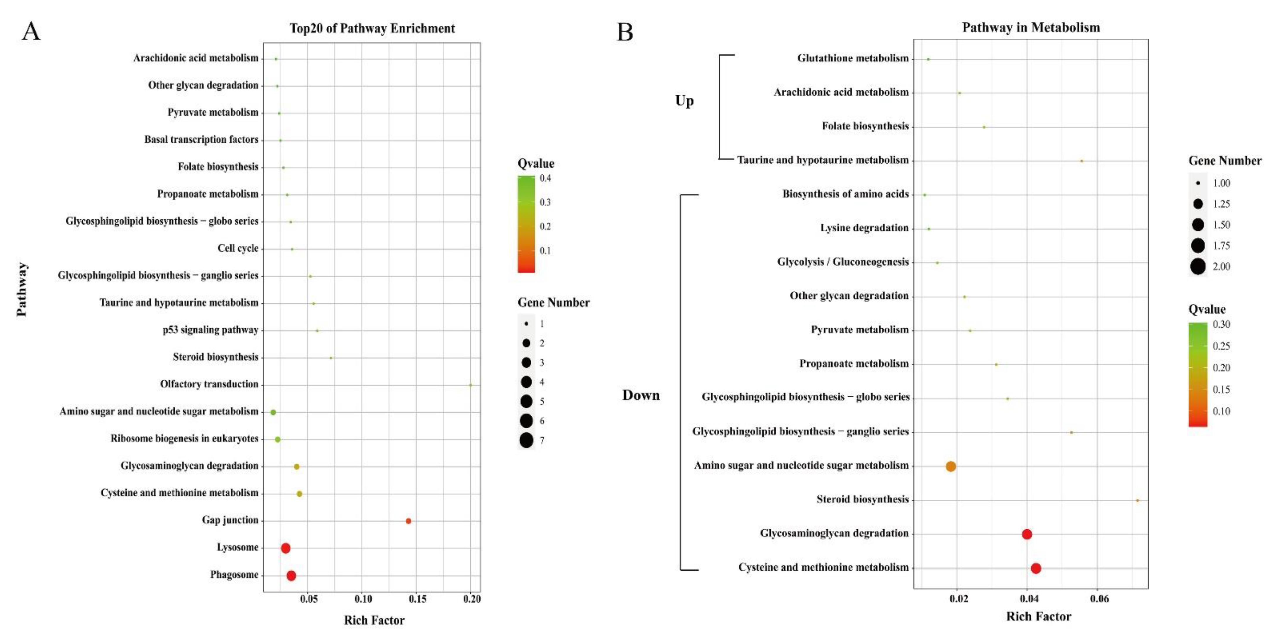 Genes 12 00618 g003 Genes 12 00618 g003