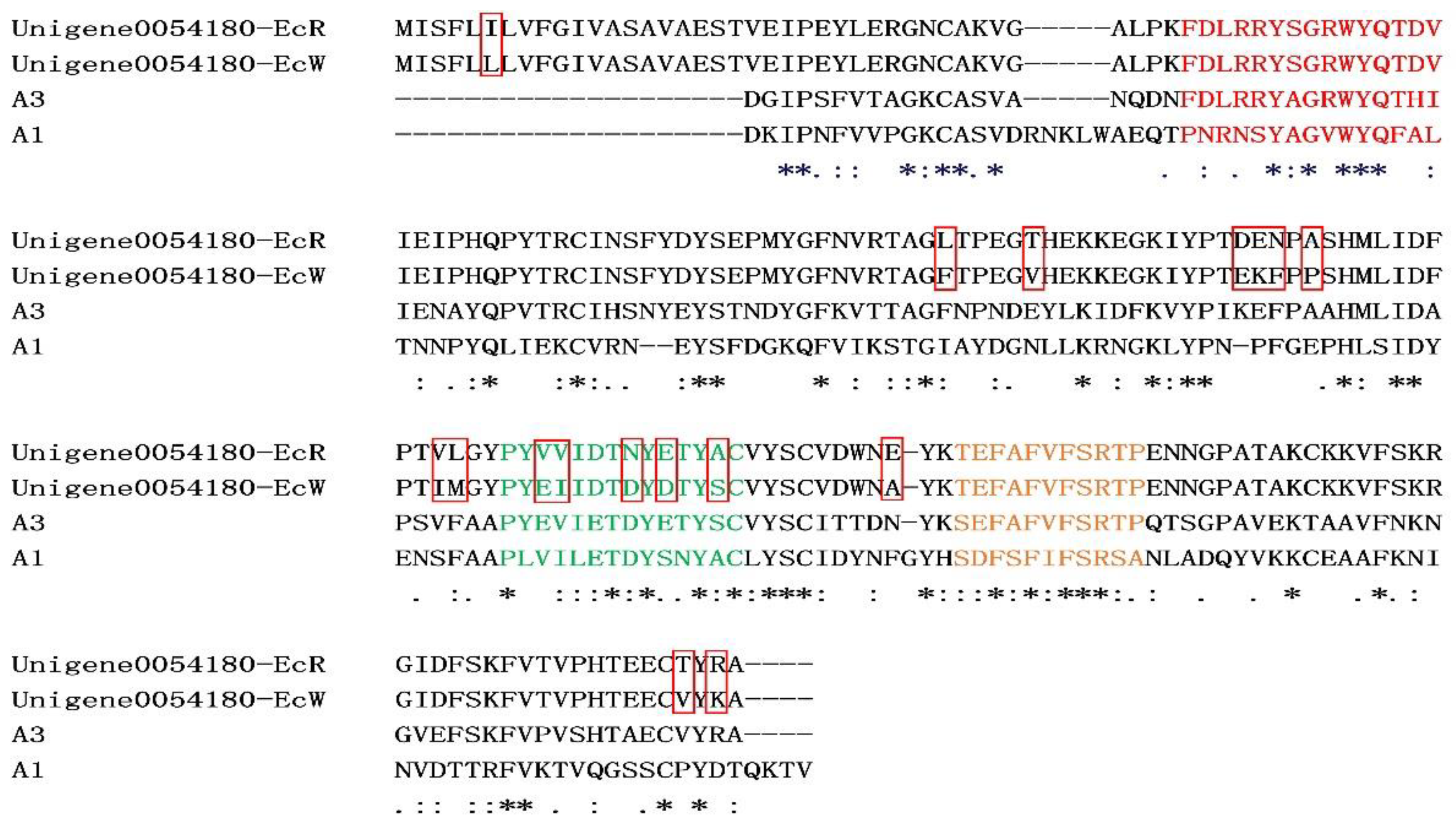 Genes 12 00618 g004 Genes 12 00618 g004