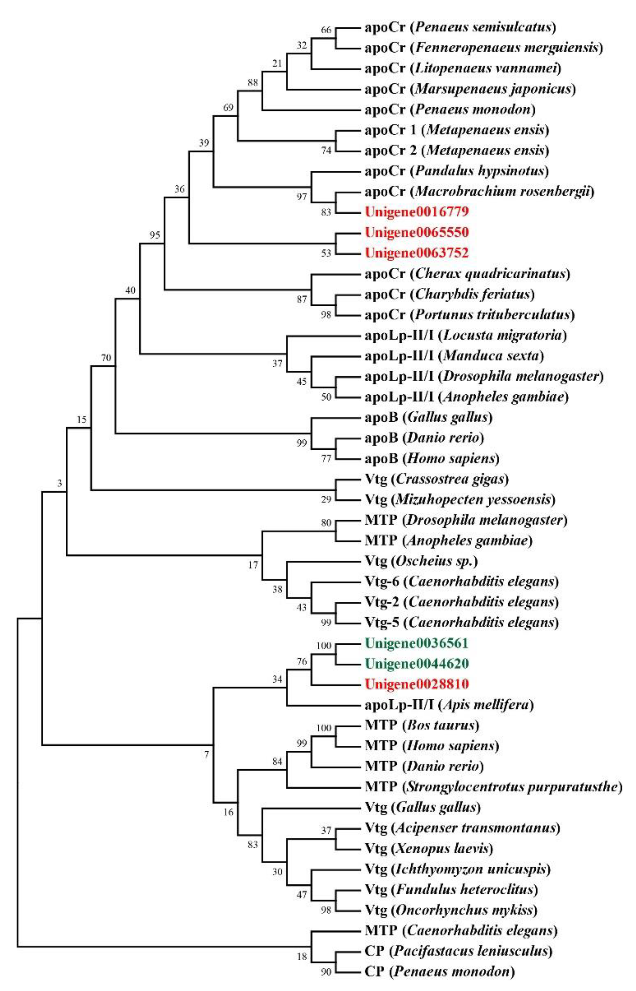 Genes 12 00618 g005 Genes 12 00618 g005