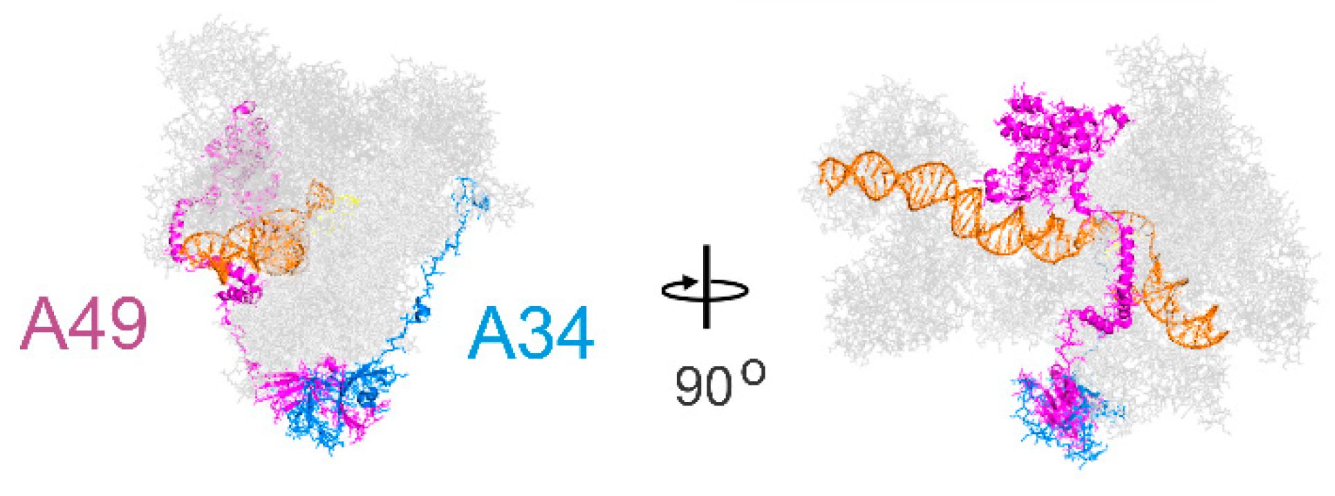 Genes 12 00620 g002 Genes 12 00620 g002