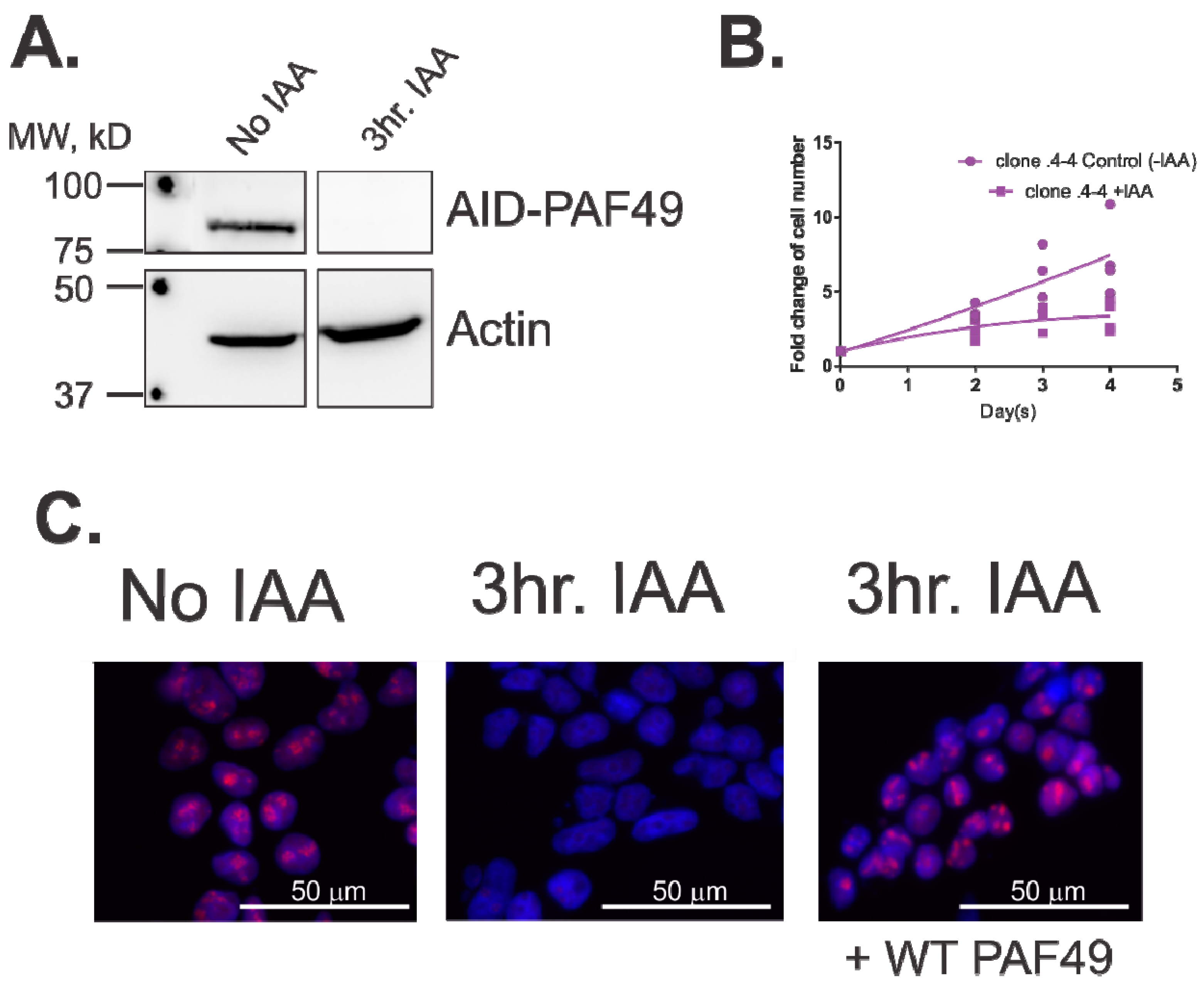 Genes 12 00620 g005 Genes 12 00620 g005