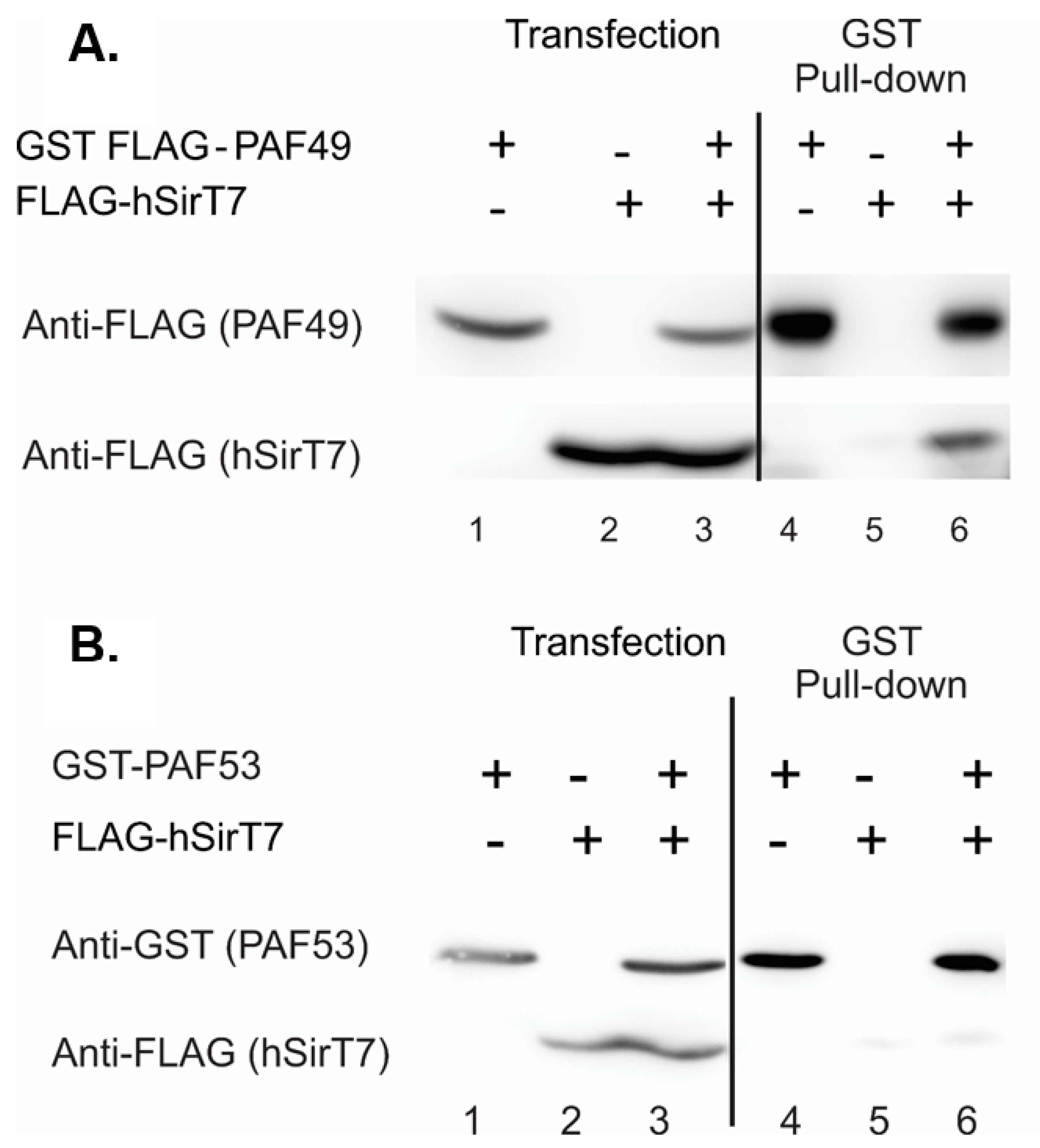 Genes 12 00620 g006 Genes 12 00620 g006