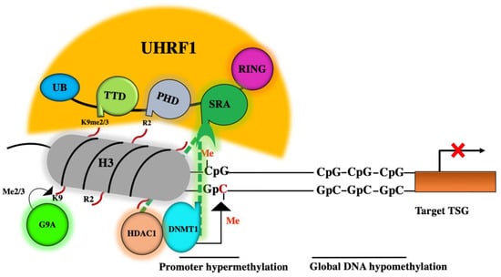 https://www.mdpi.com/genes/genes-12-00622/article_deploy/html/images/genes-12-00622-g001-550.jpg