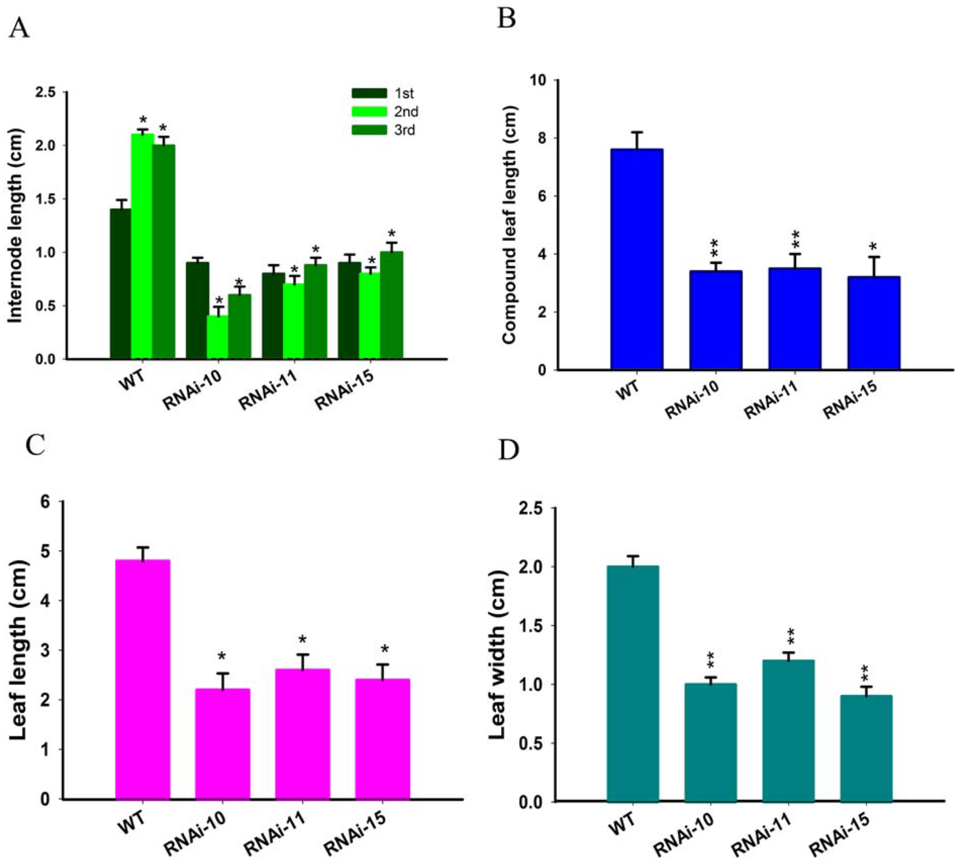 Genes | Free Full-Text | Down-Regulation of SlGRAS10 in Tomato Confers ...