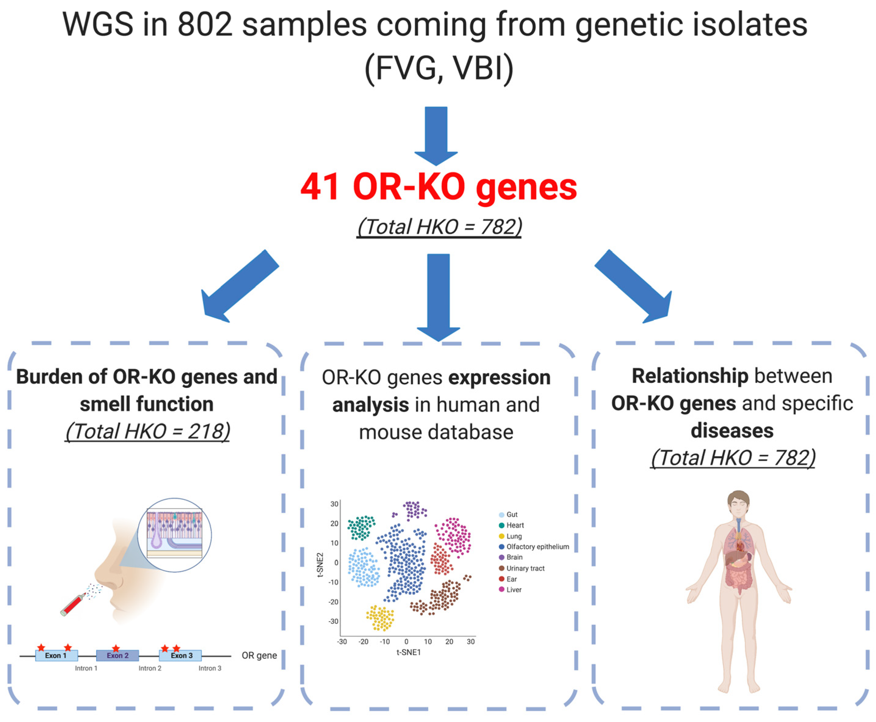 Genes 12 00631 g001